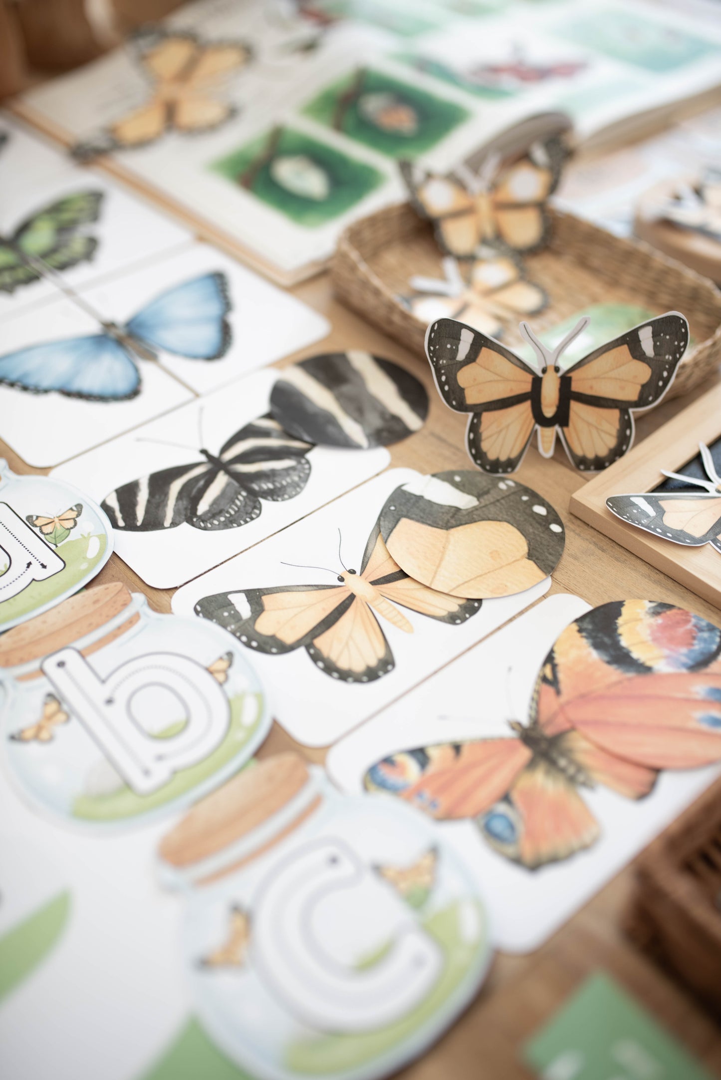 BUTTERFLY MORNING BASKET