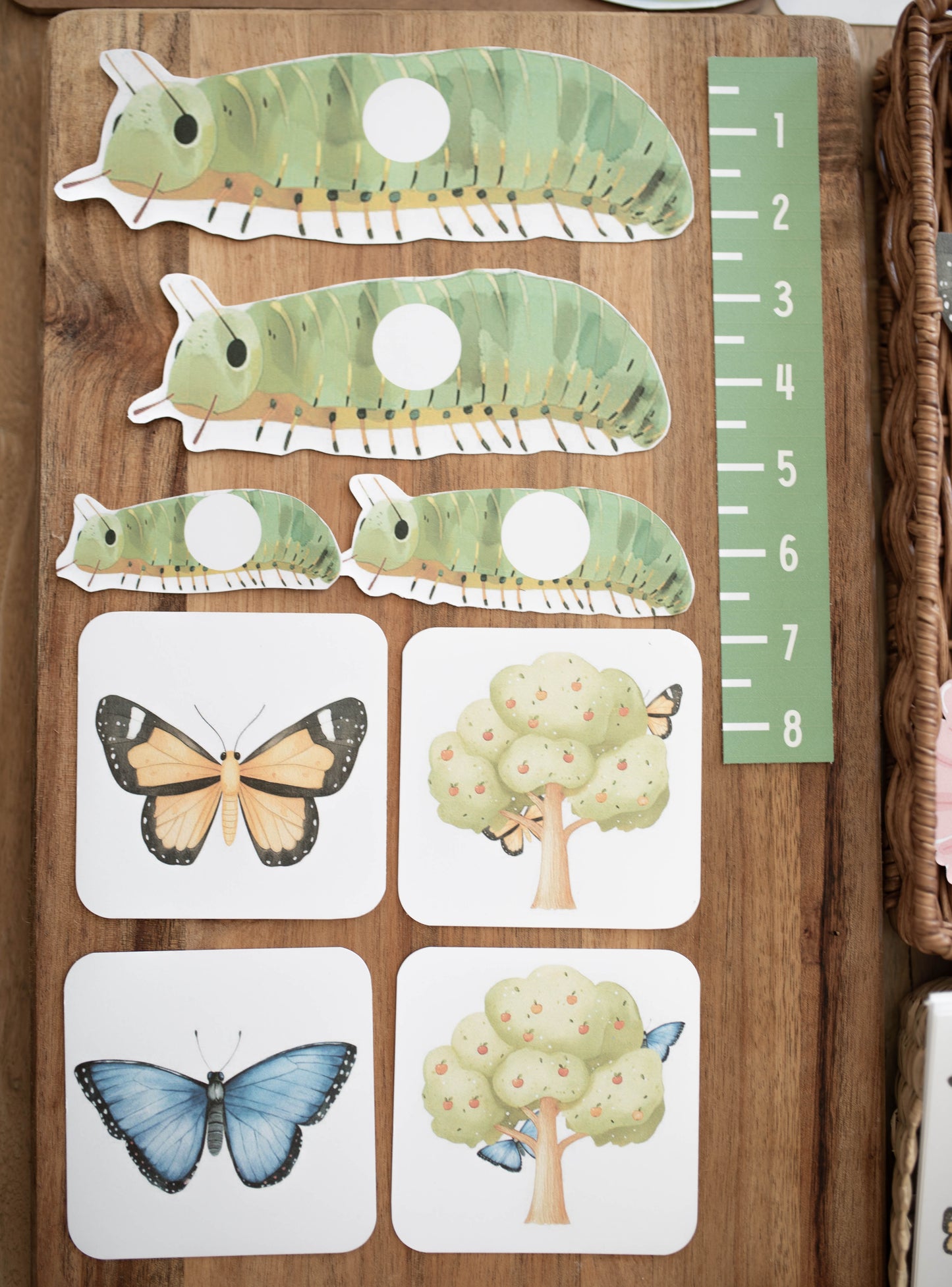 BUTTERFLY MORNING BASKET