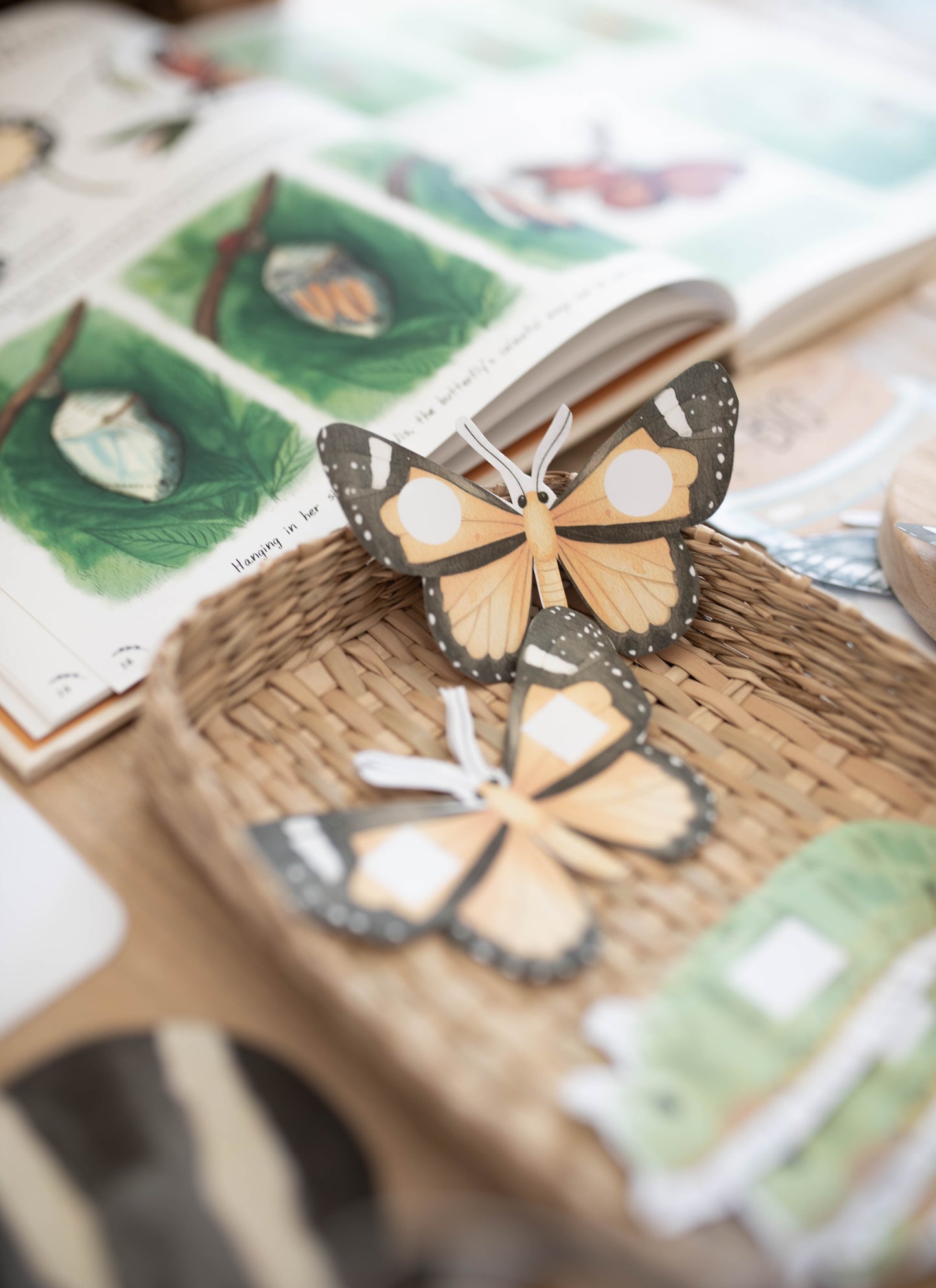 BUTTERFLY MORNING BASKET