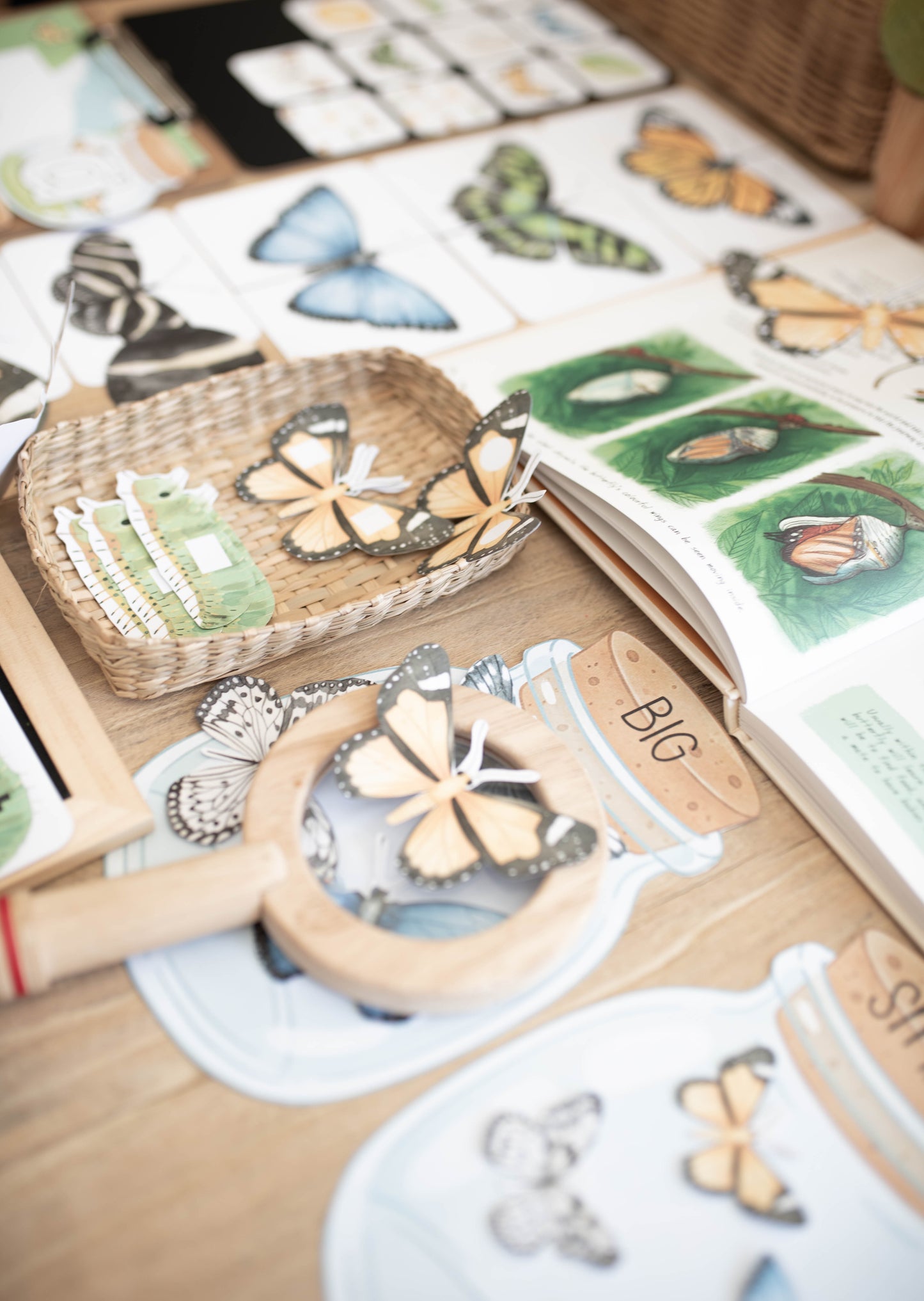 BUTTERFLY MORNING BASKET