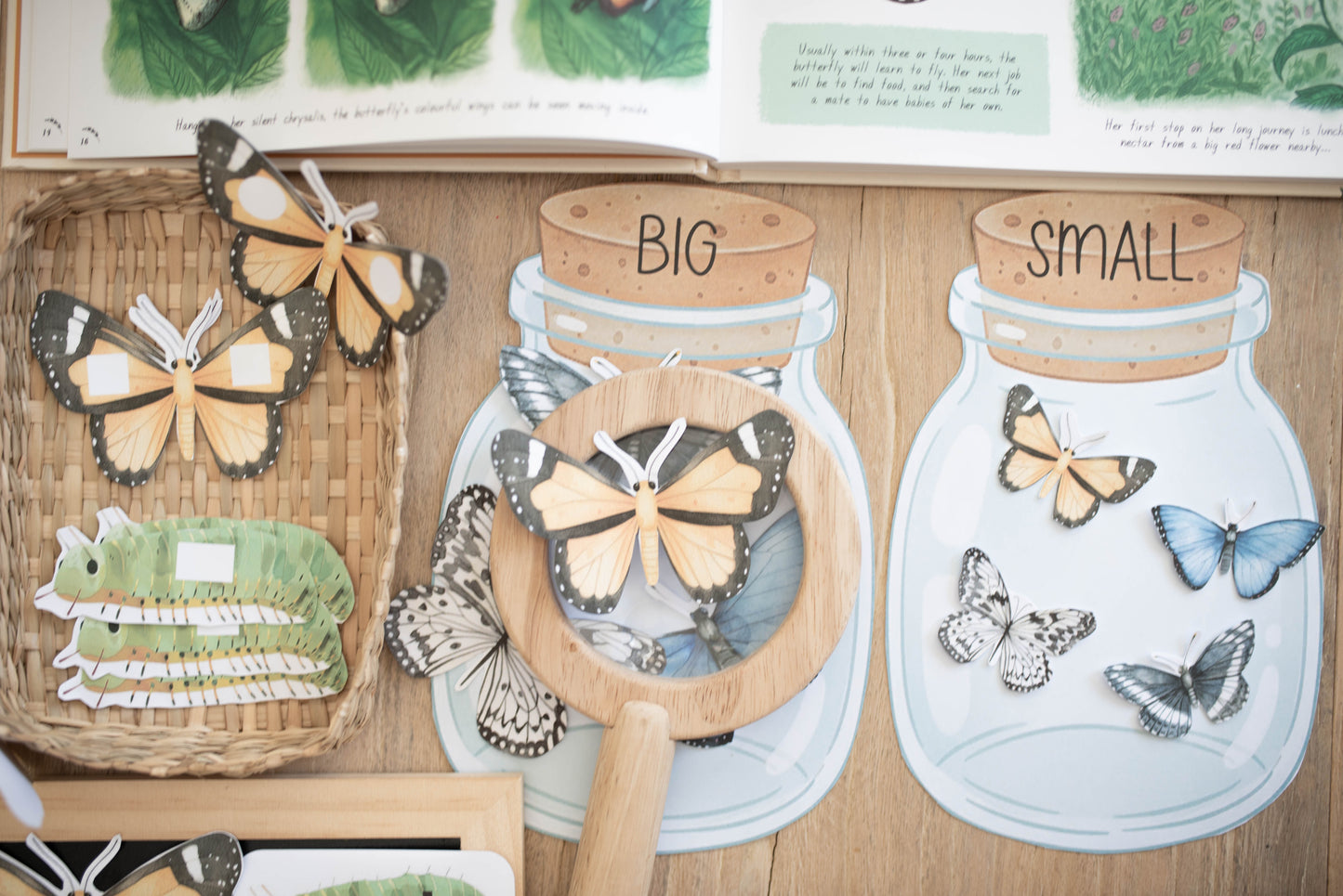 BUTTERFLY MORNING BASKET