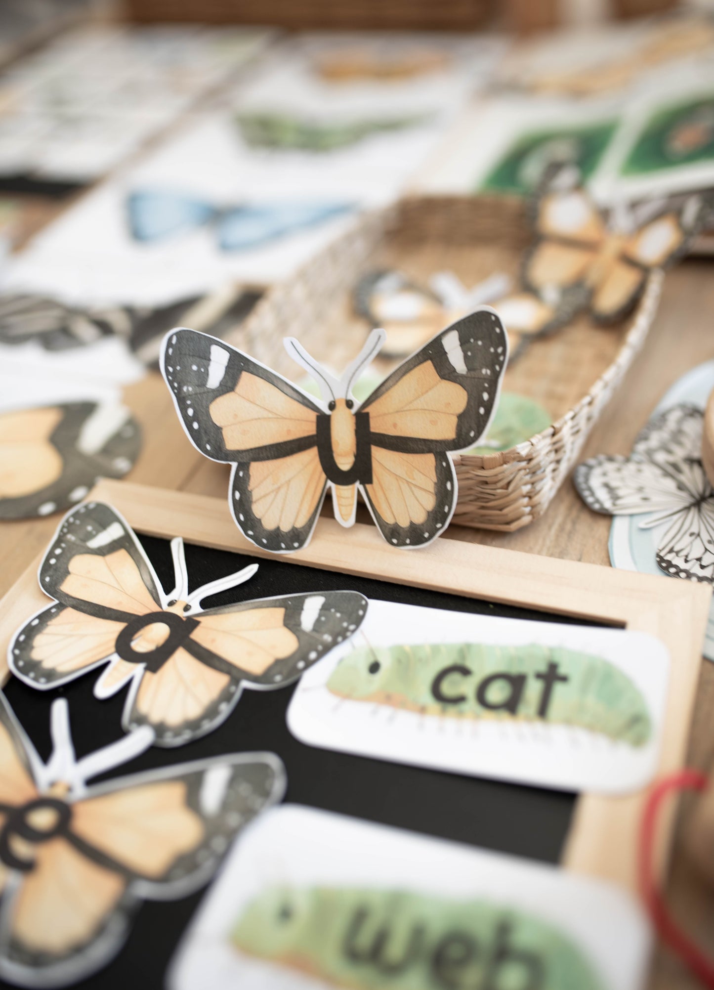 BUTTERFLY MORNING BASKET