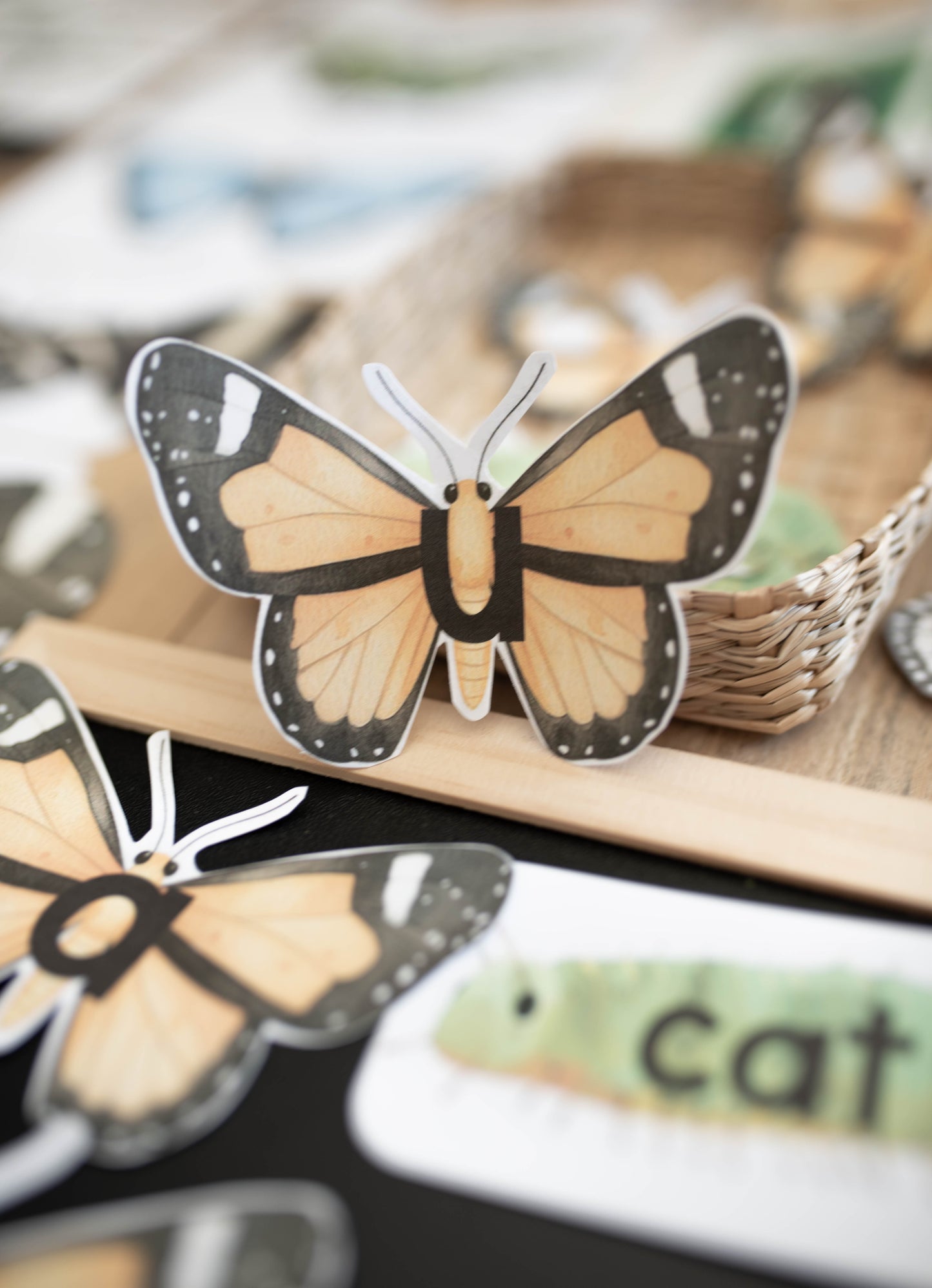 BUTTERFLY MORNING BASKET
