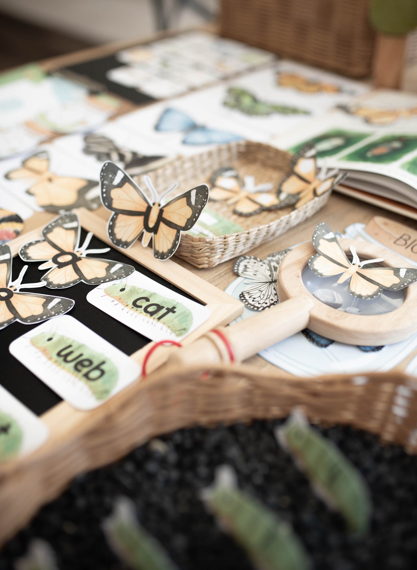 BUTTERFLY MORNING BASKET