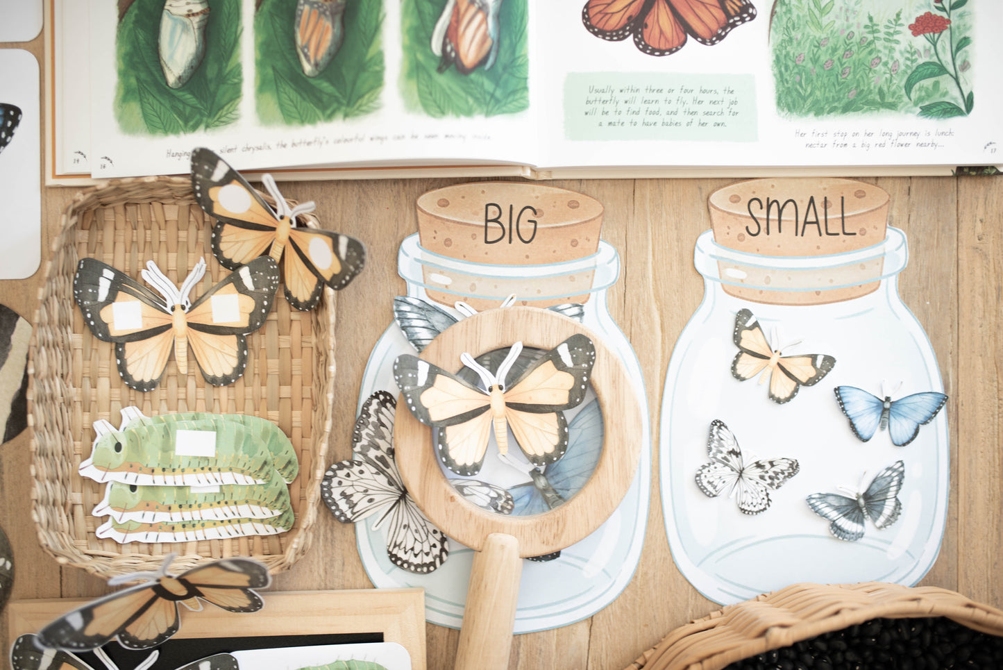 BUTTERFLY MORNING BASKET