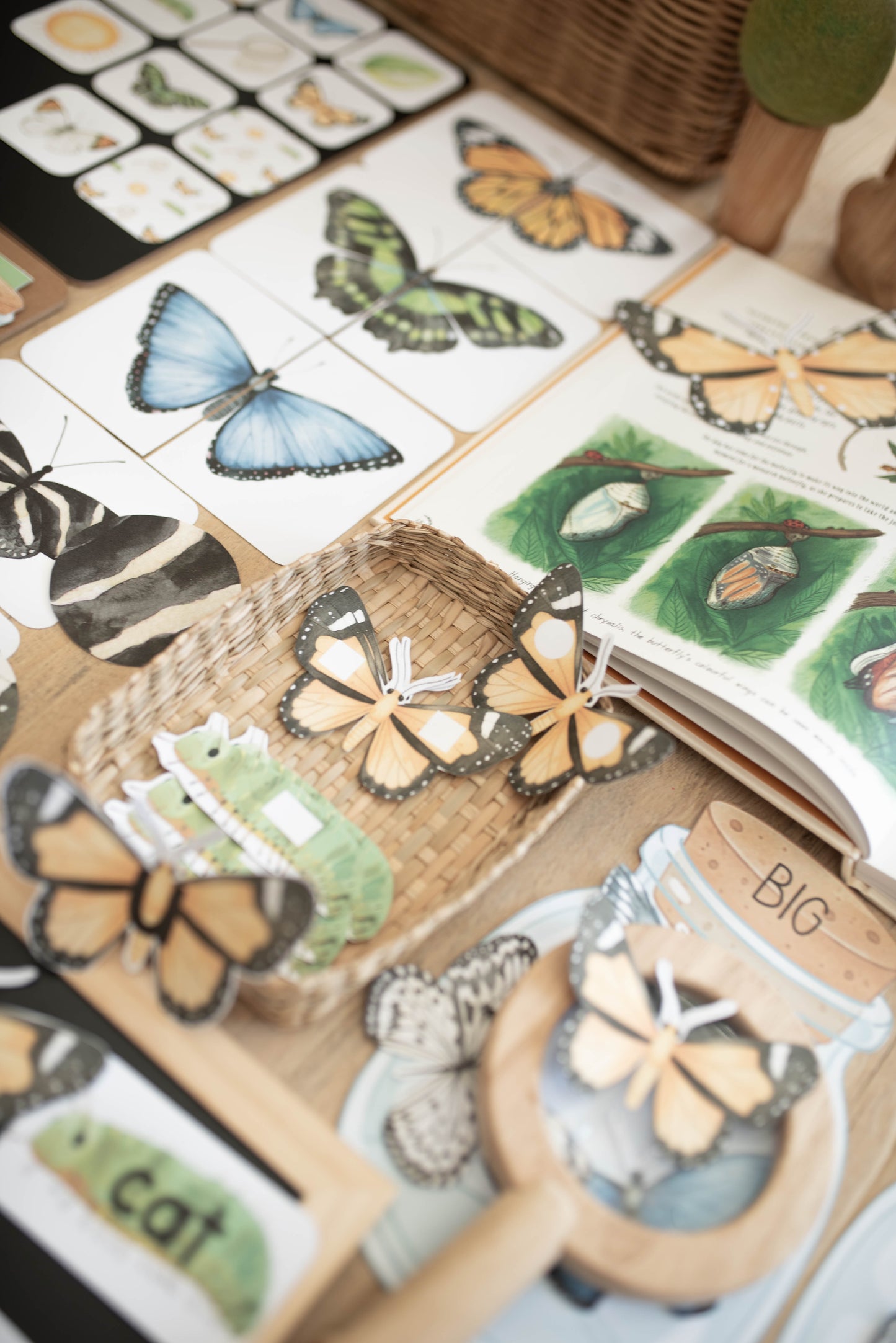 BUTTERFLY MORNING BASKET