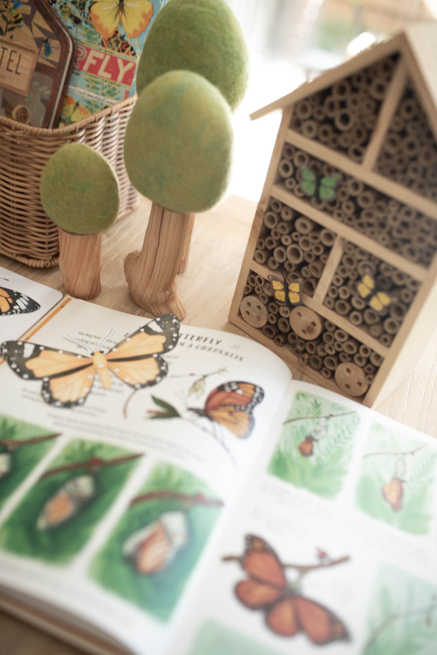 BUTTERFLY MORNING BASKET