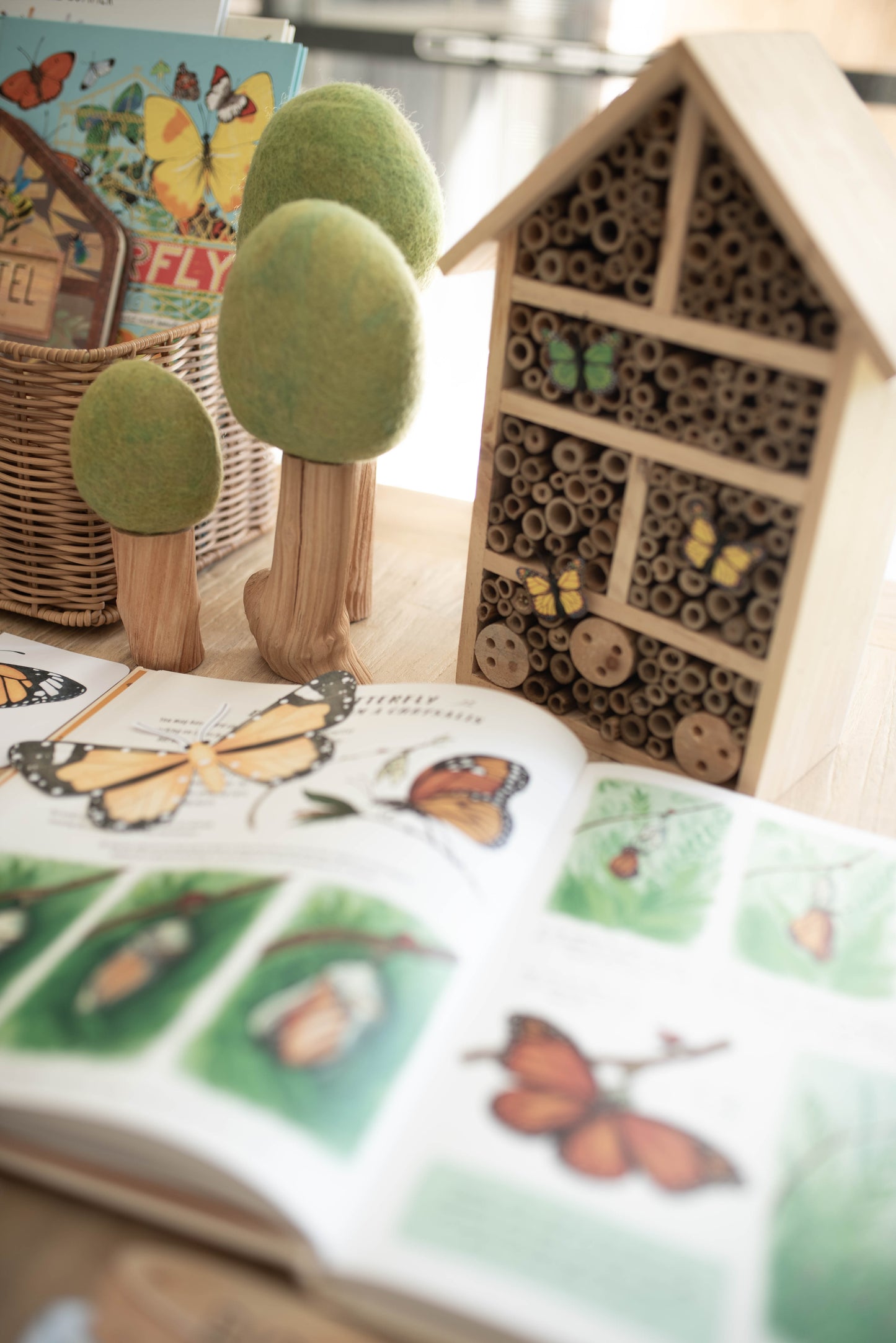 BUTTERFLY MORNING BASKET