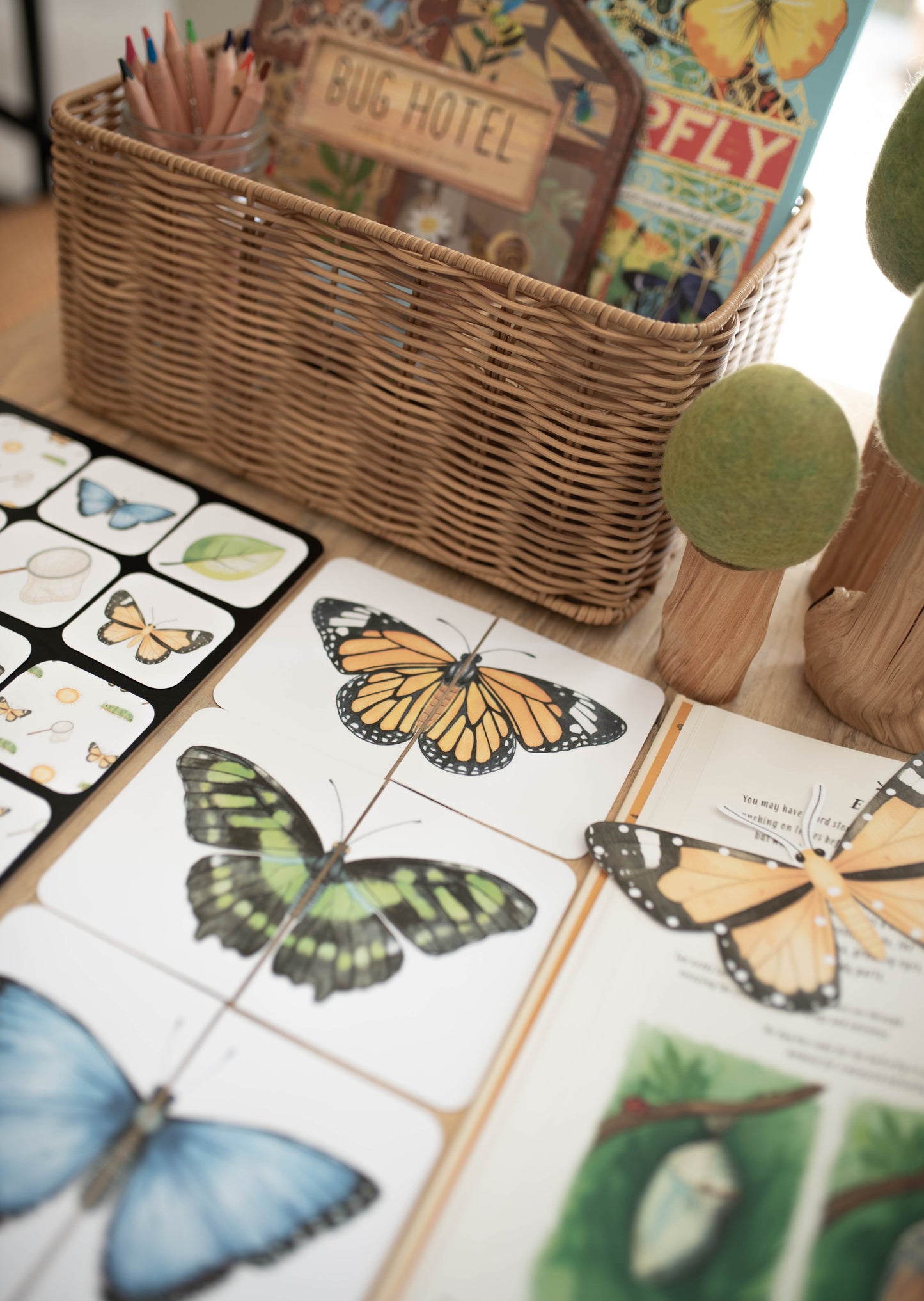 BUTTERFLY MORNING BASKET