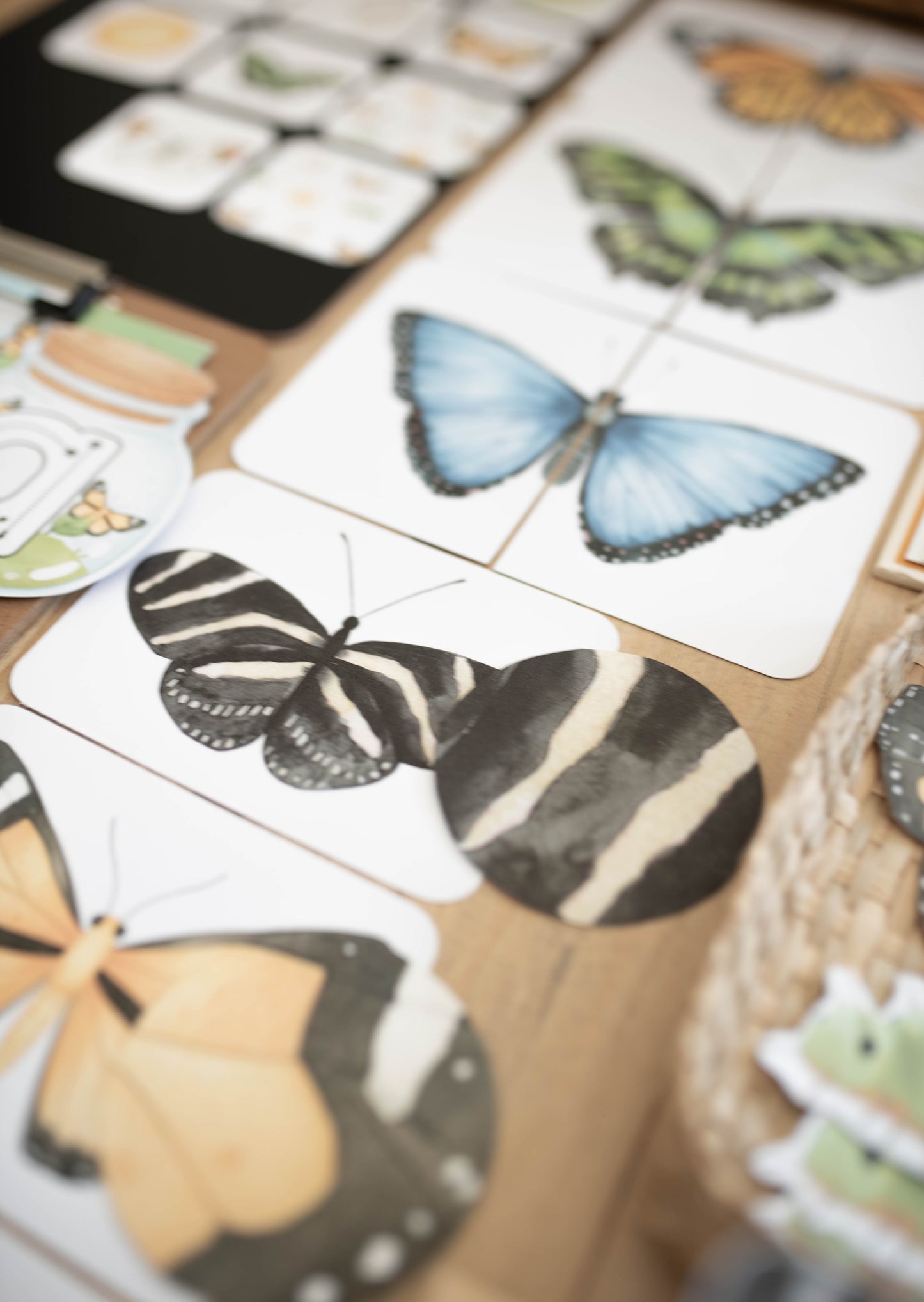 BUTTERFLY MORNING BASKET