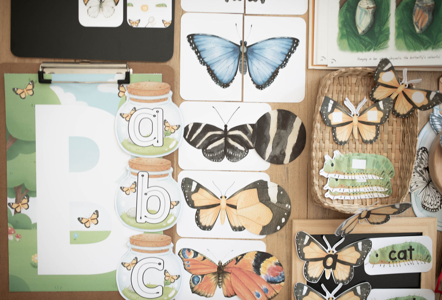 BUTTERFLY MORNING BASKET