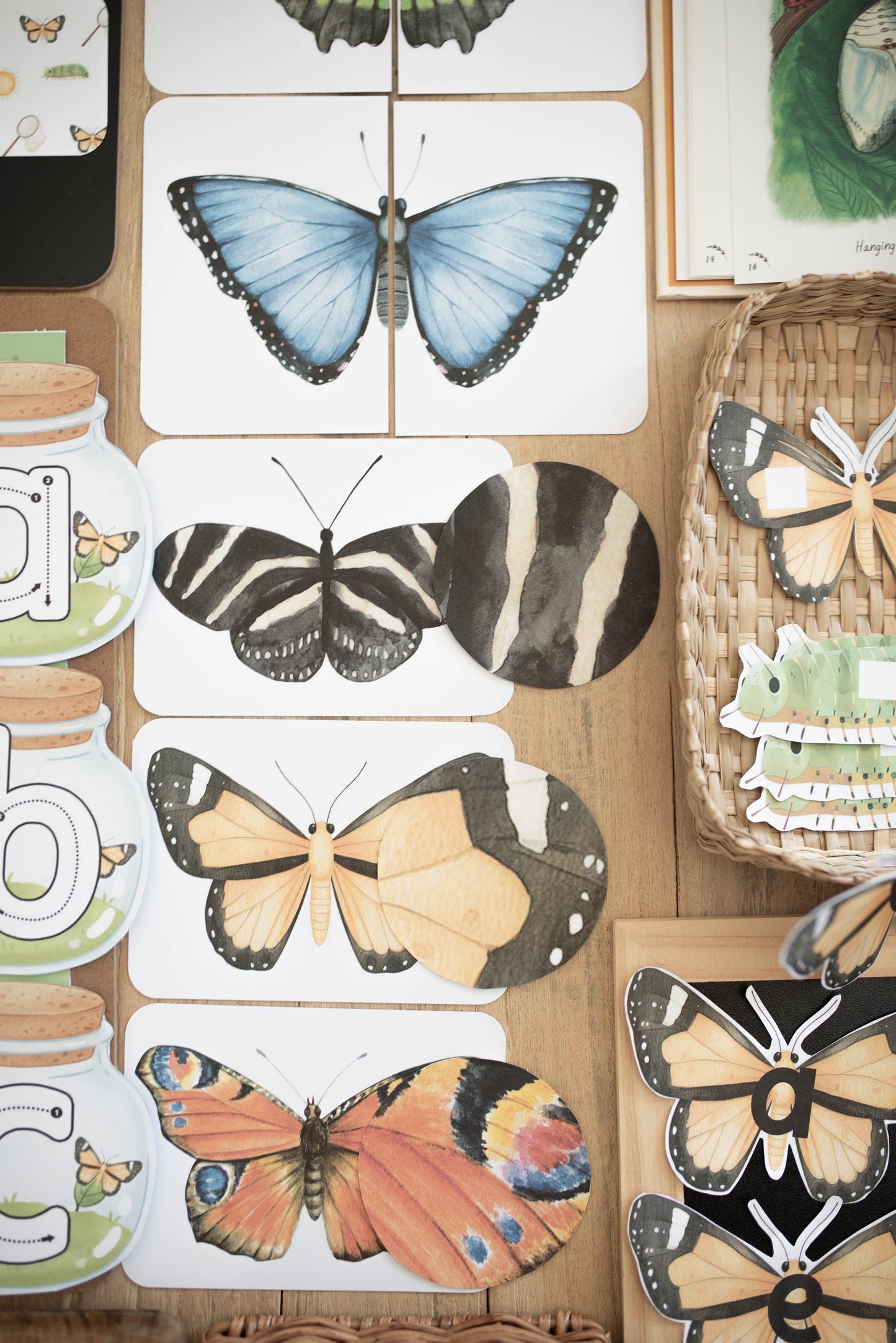 BUTTERFLY MORNING BASKET