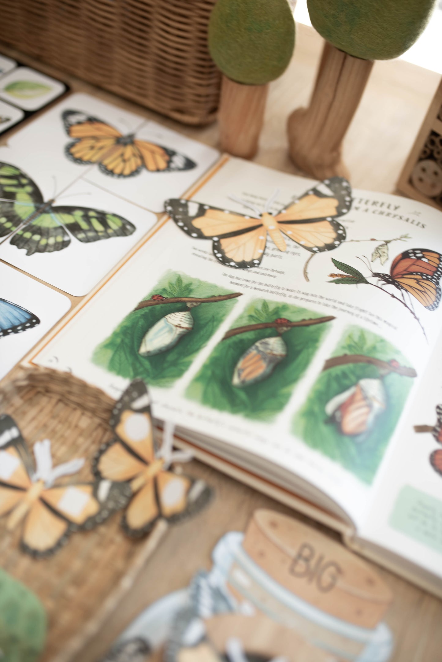 BUTTERFLY MORNING BASKET