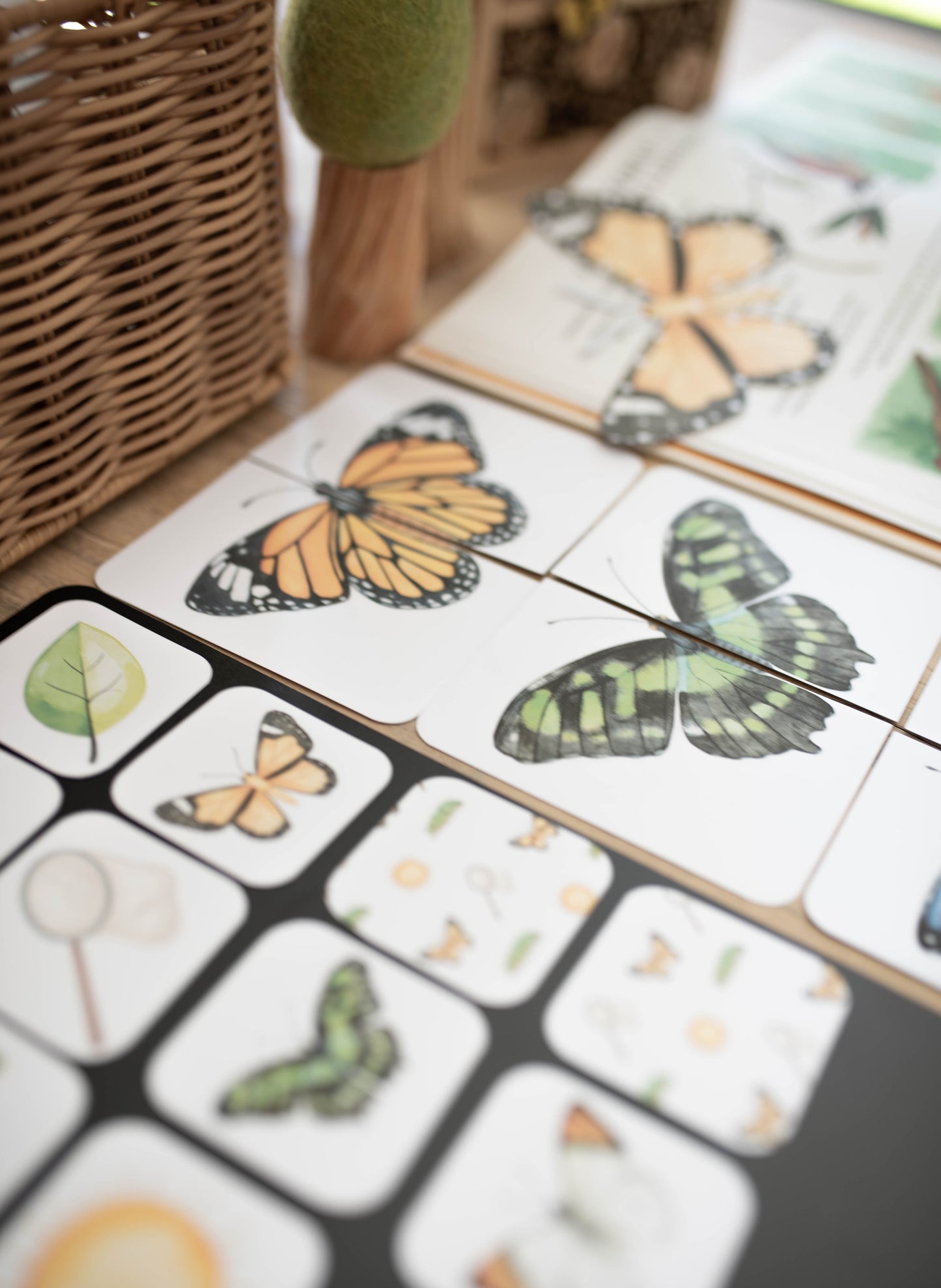 BUTTERFLY MORNING BASKET