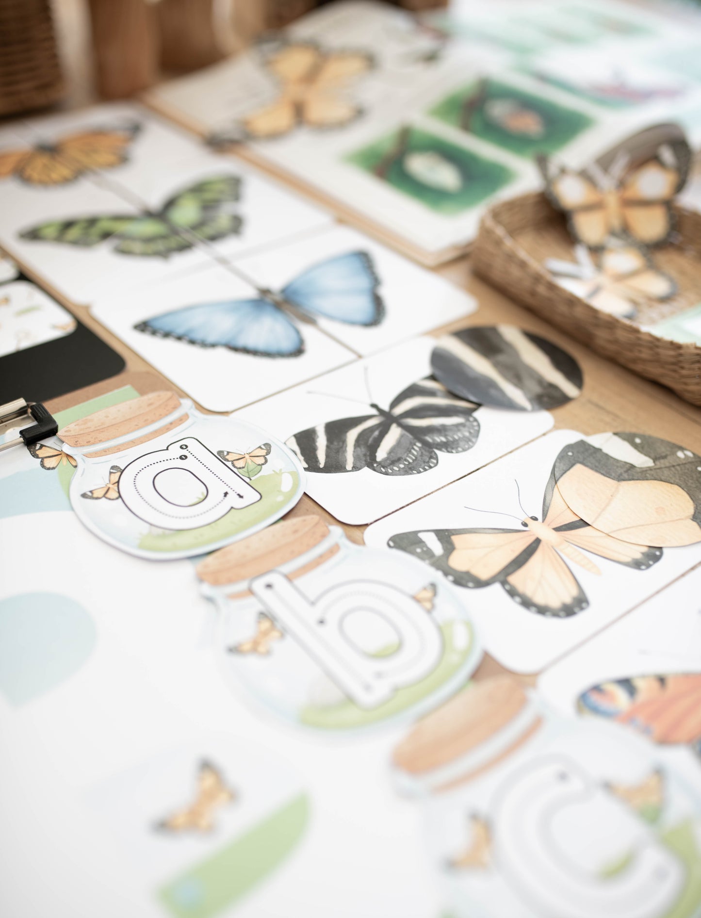 BUTTERFLY MORNING BASKET