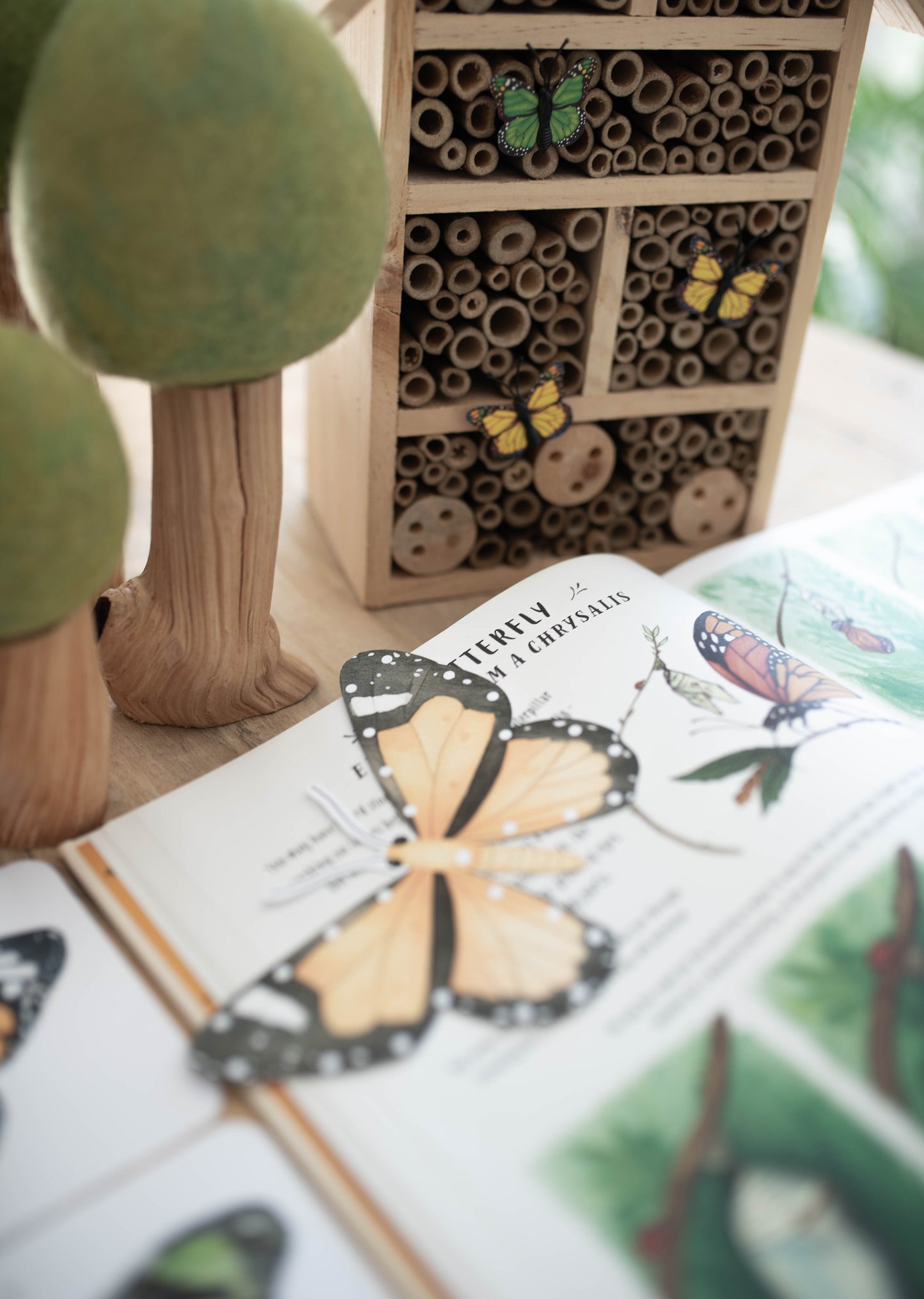 BUTTERFLY MORNING BASKET