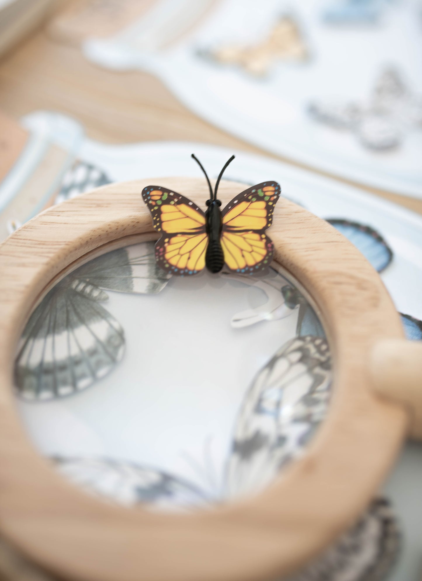 BUTTERFLY MORNING BASKET