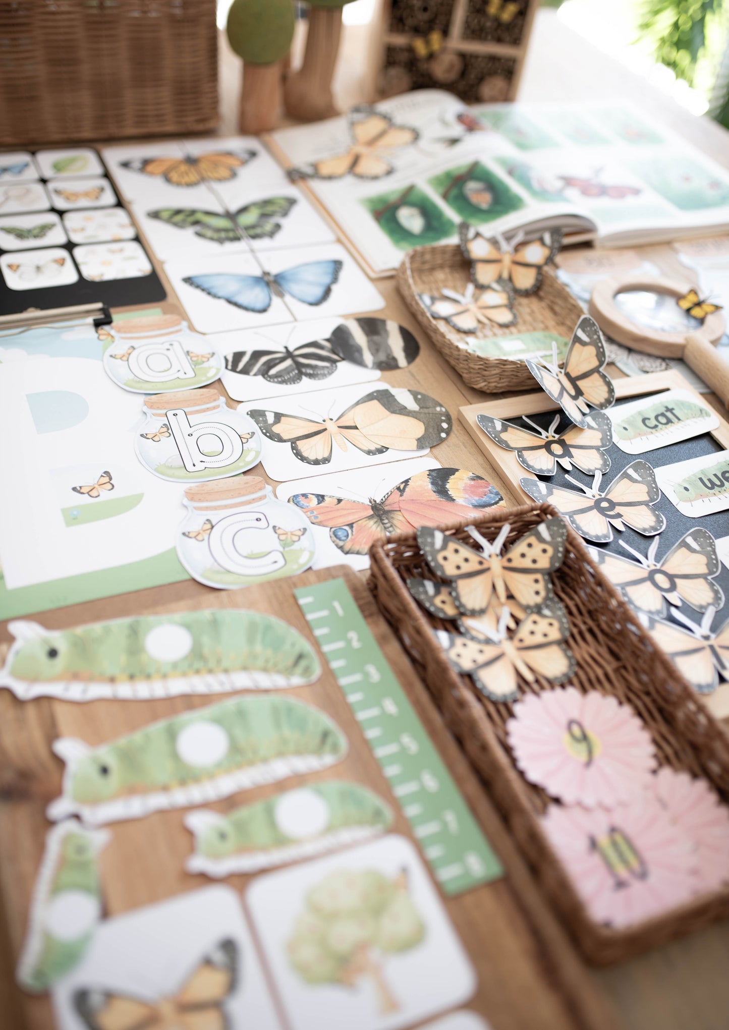 BUTTERFLY MORNING BASKET
