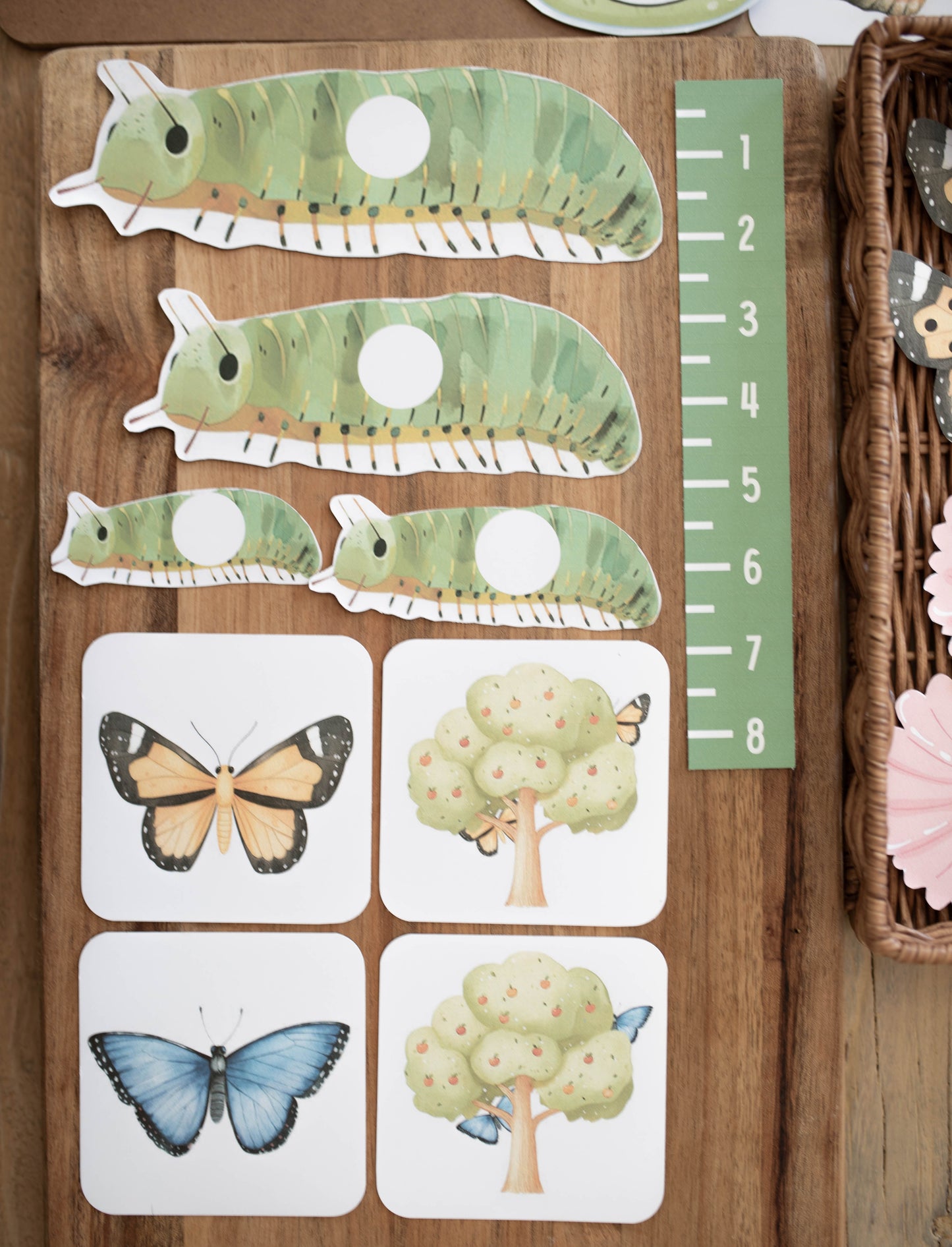 BUTTERFLY MORNING BASKET