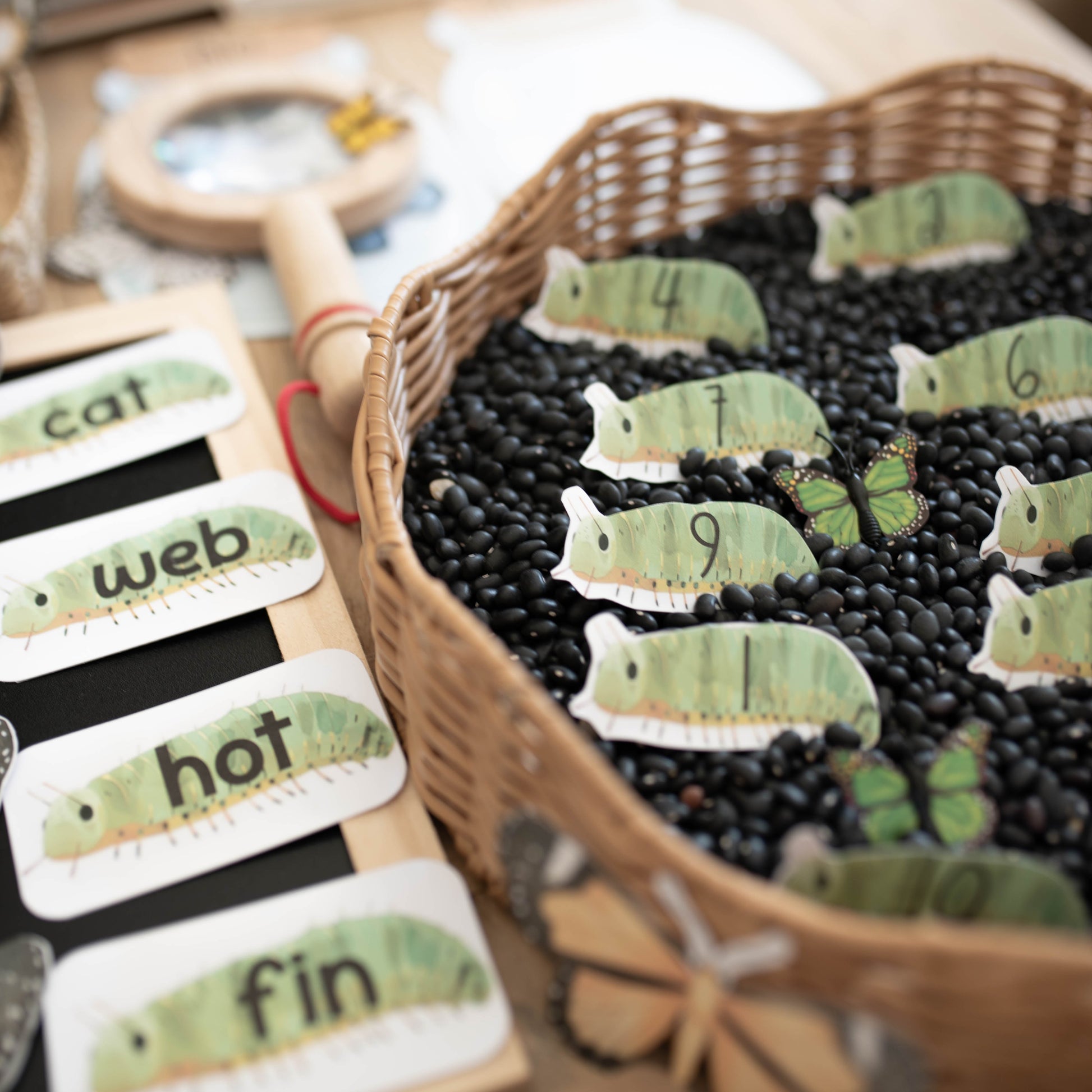 A close-up of a children's educational display featuring caterpillar-shaped number cards placed in a woven basket filled with black beans, alongside a wooden word-sorting board with labels like cat, web, hot, and fin.