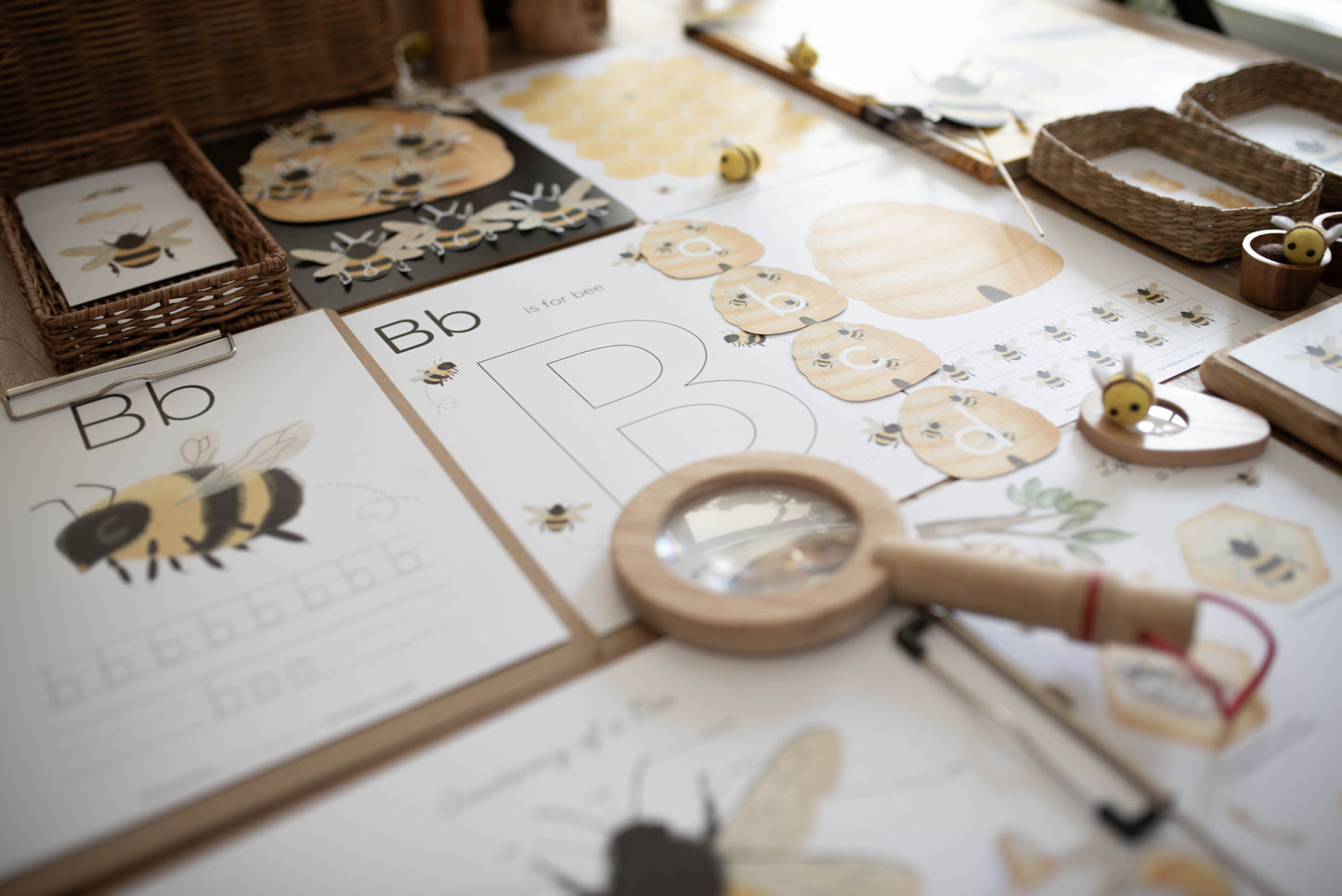 HONEY BEE MINI UNIT STUDY