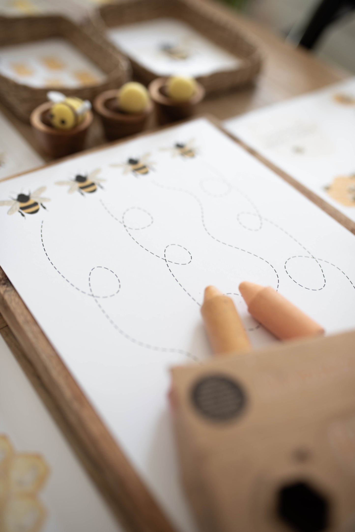HONEY BEE MINI UNIT STUDY