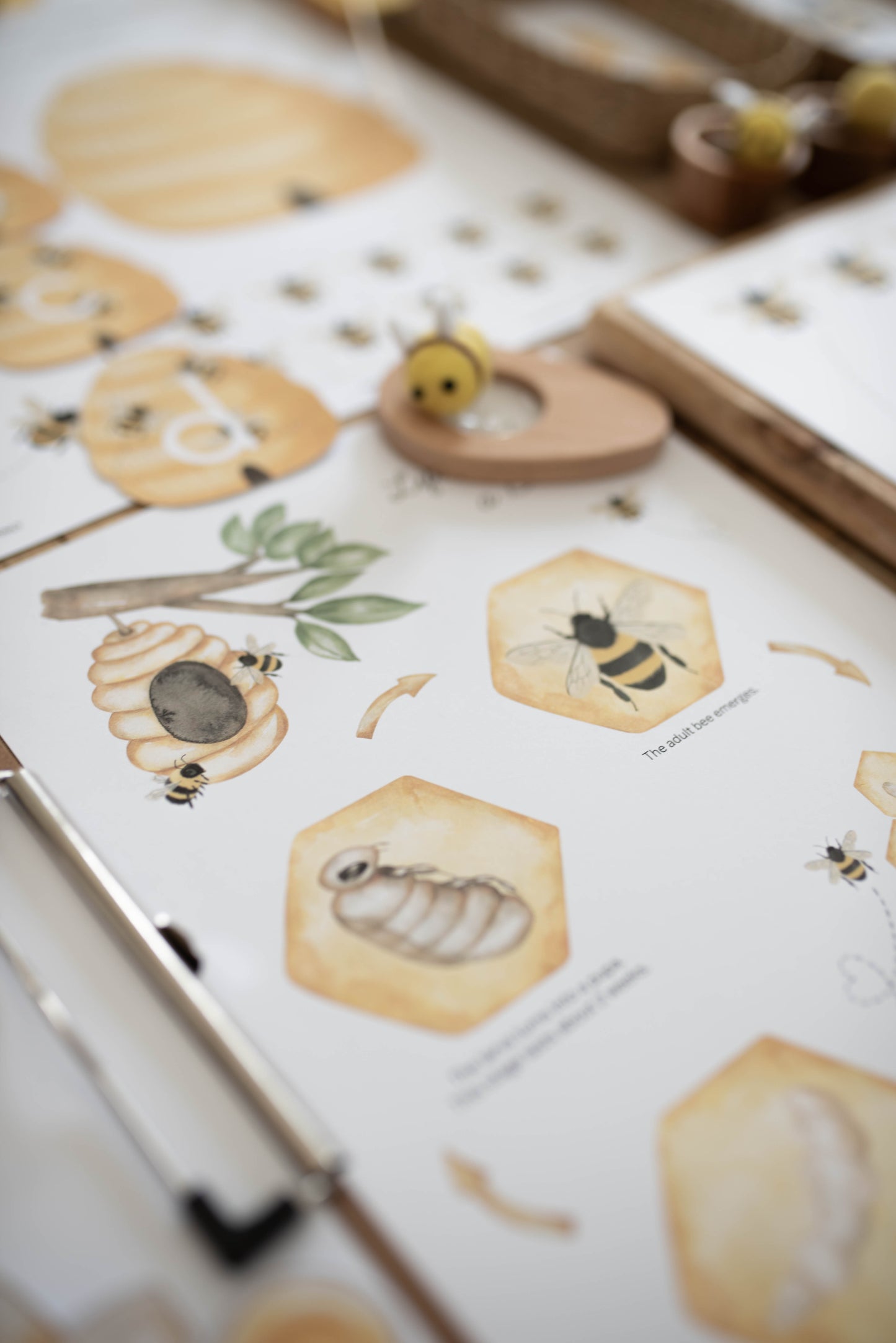 HONEY BEE MINI UNIT STUDY