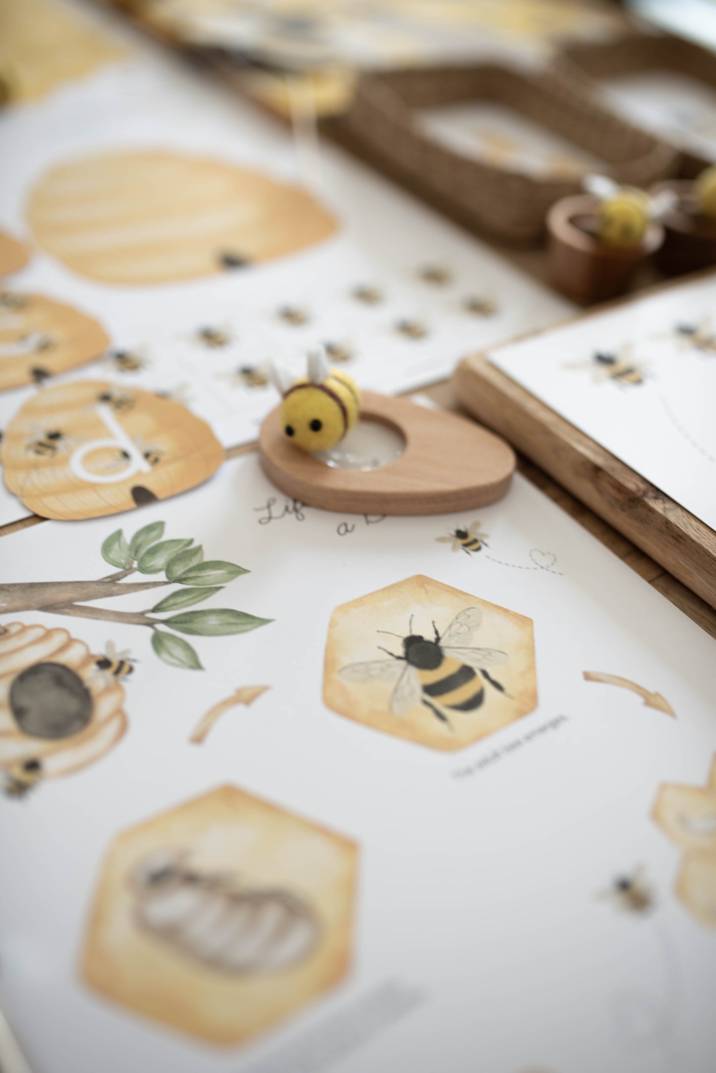 HONEY BEE MINI UNIT STUDY