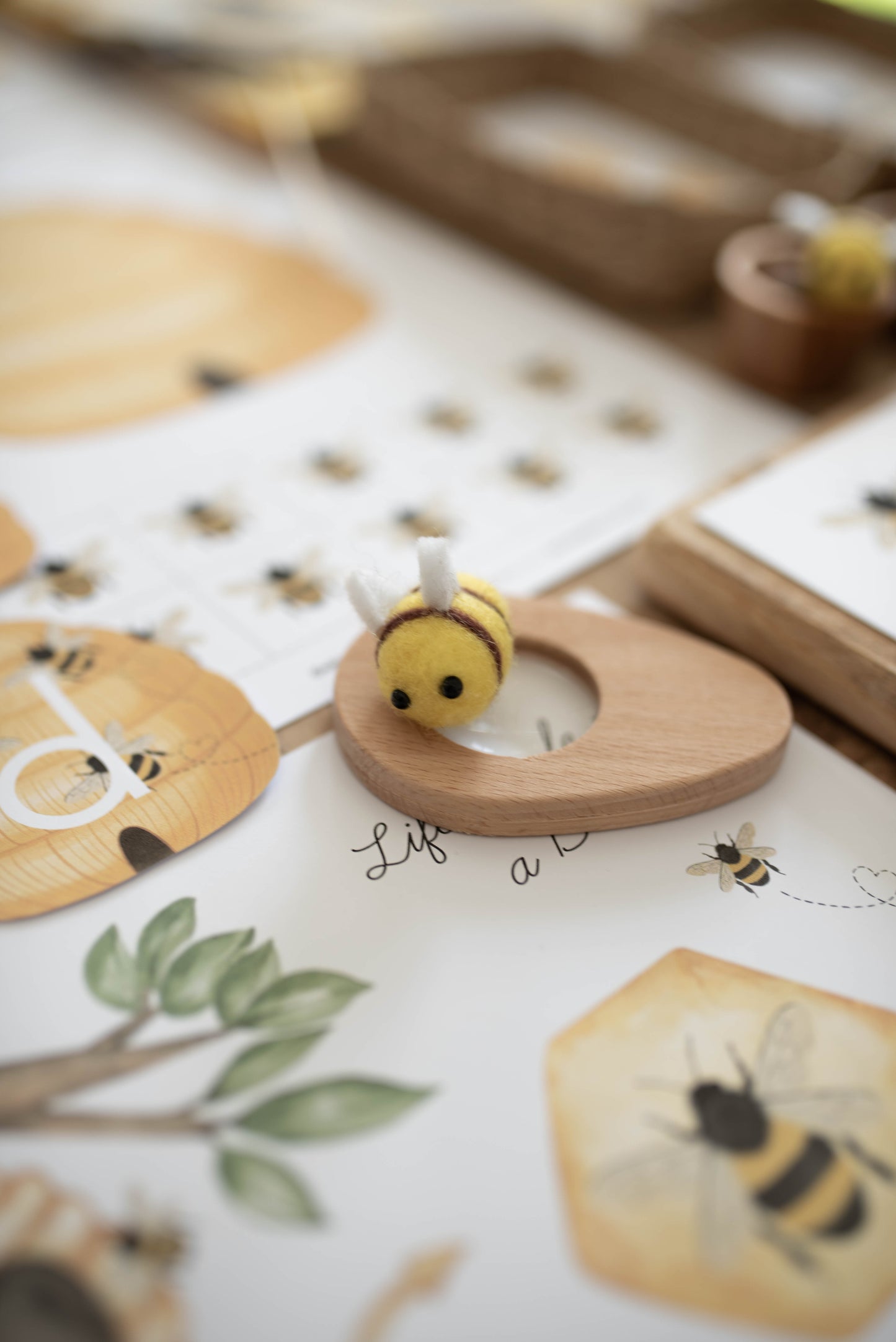 HONEY BEE MINI UNIT STUDY