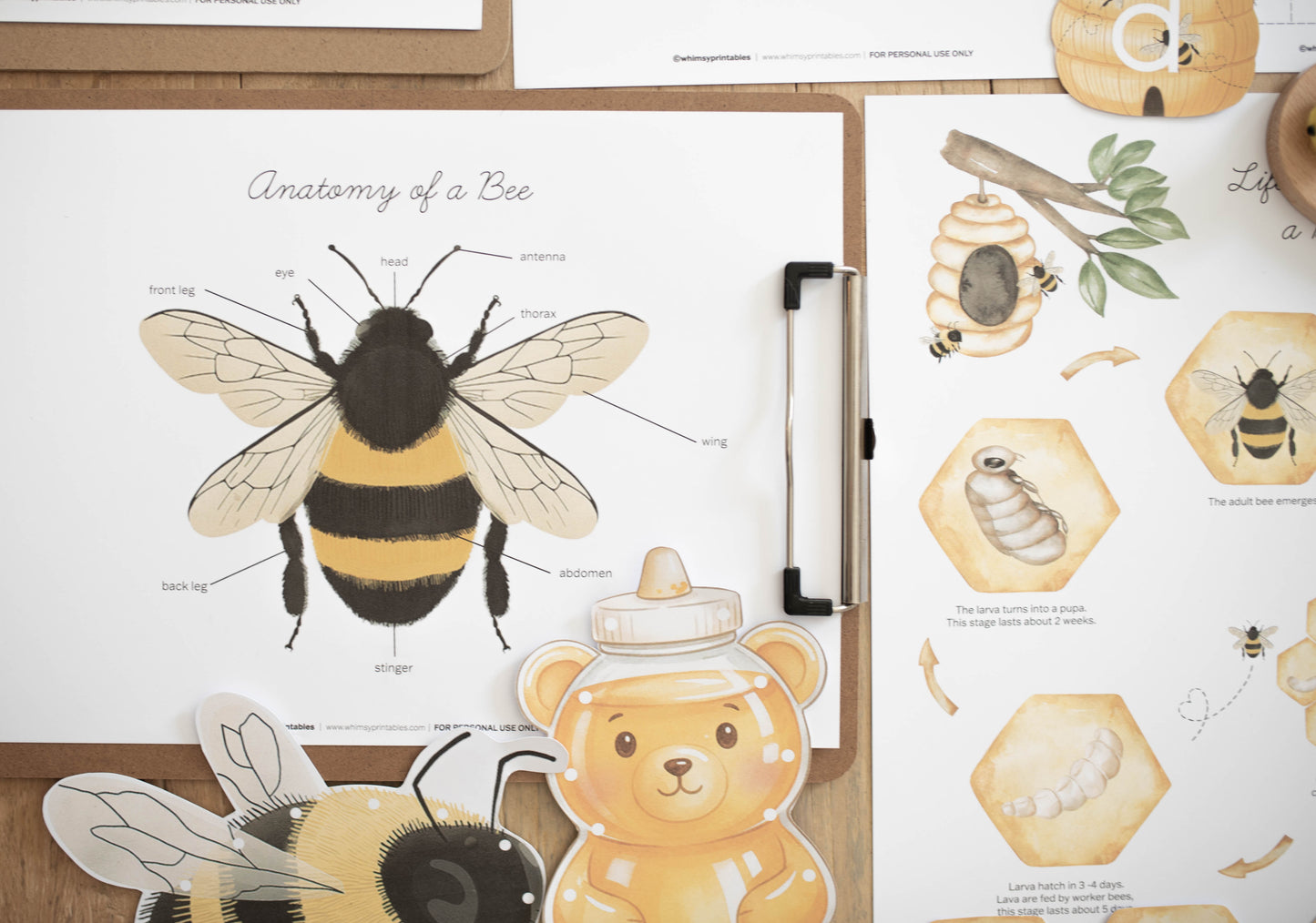HONEY BEE MINI UNIT STUDY