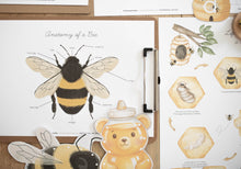 Load image into Gallery viewer, HONEY BEE MINI UNIT STUDY
