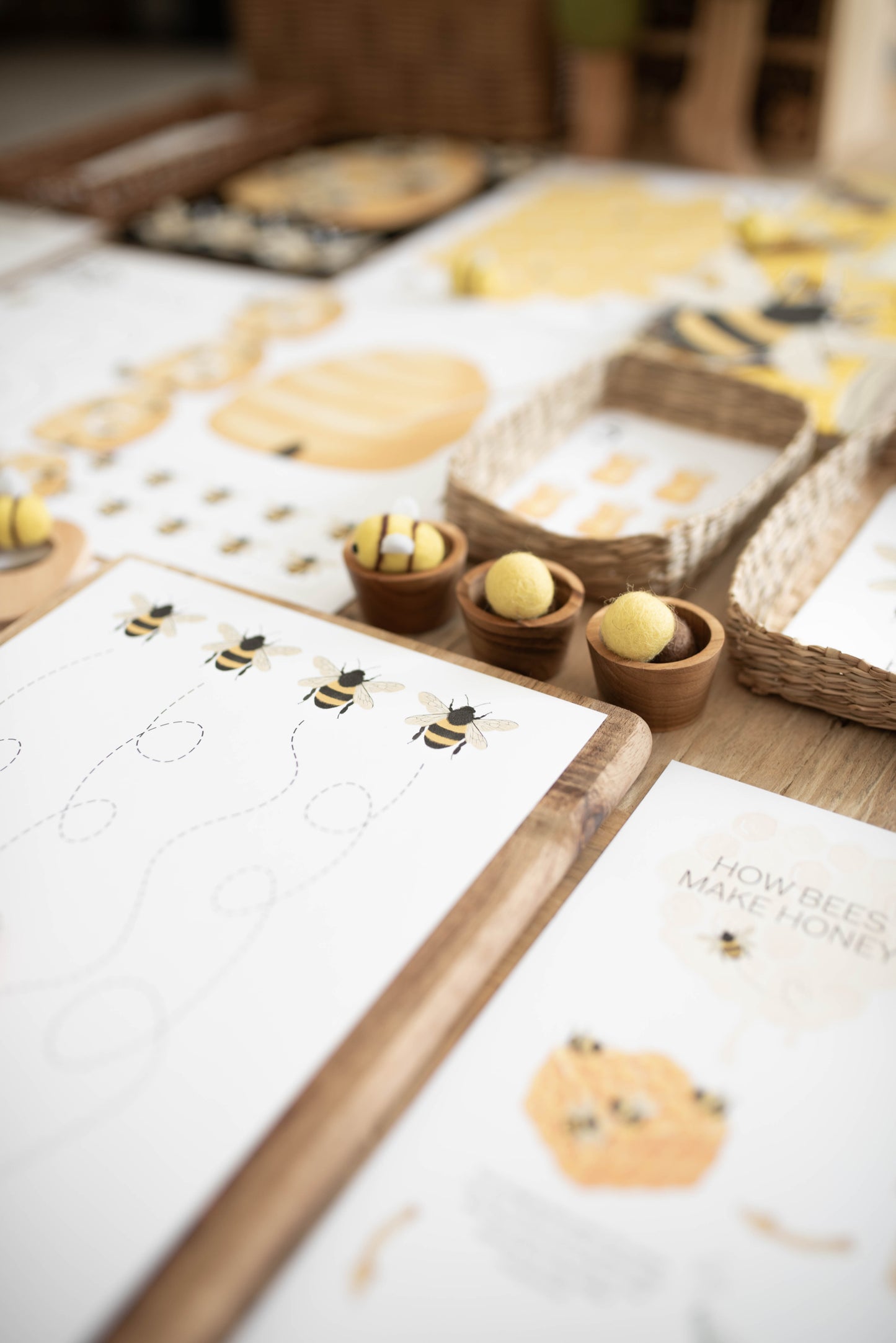 HONEY BEE MINI UNIT STUDY