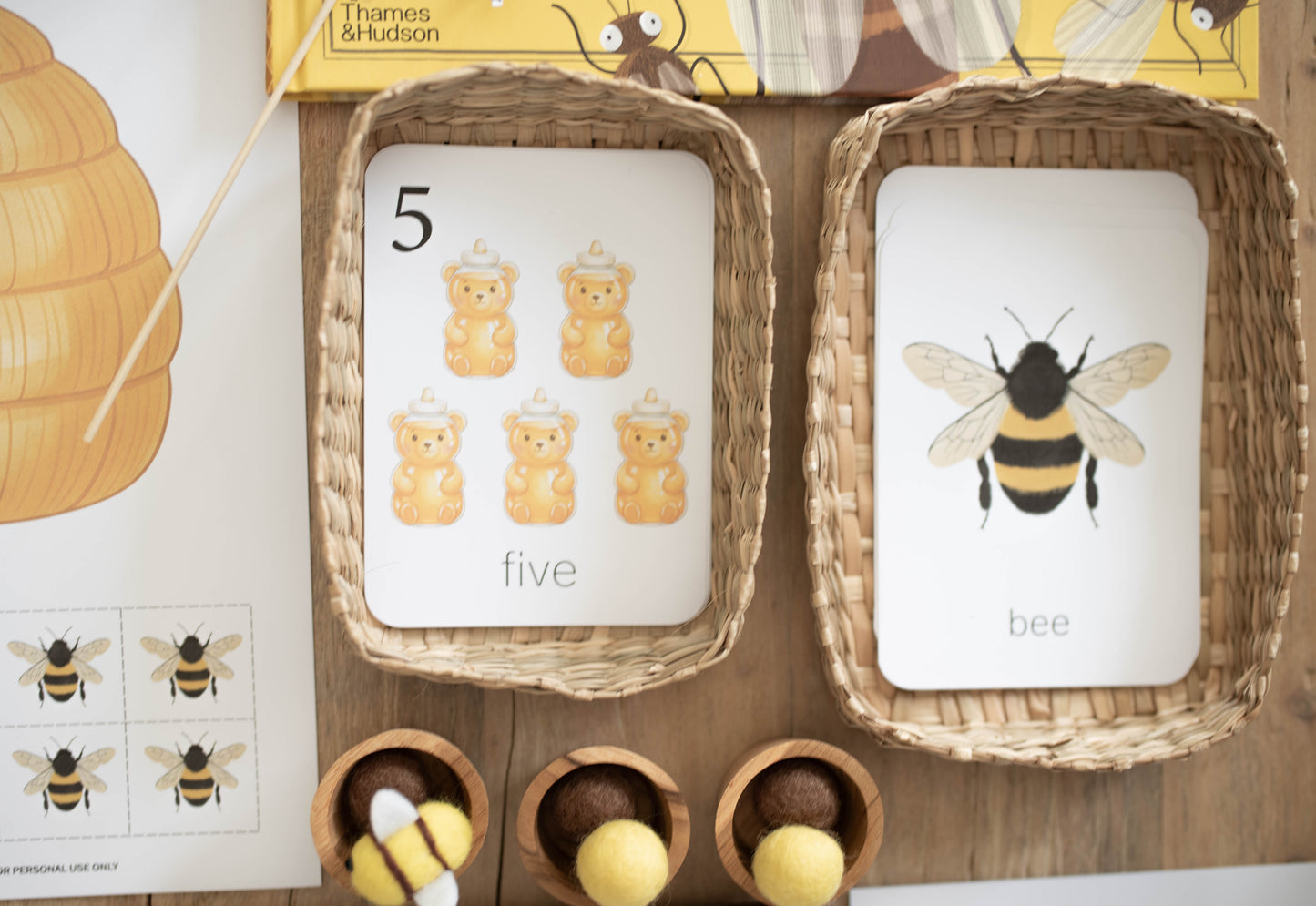 HONEY BEE MINI UNIT STUDY