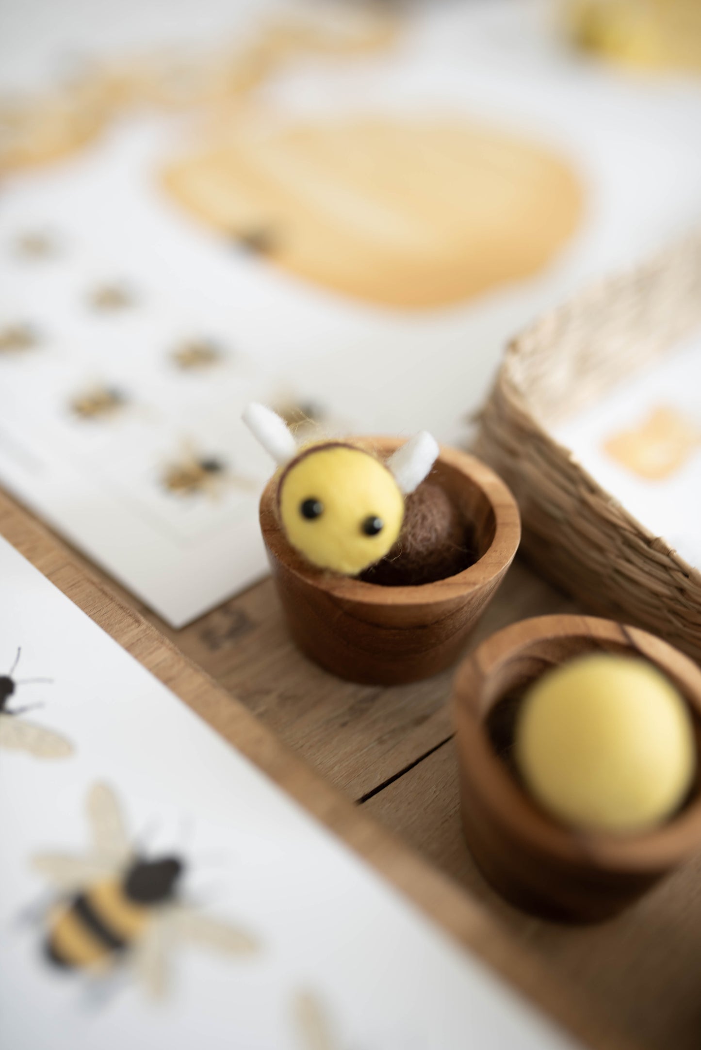 HONEY BEE MINI UNIT STUDY