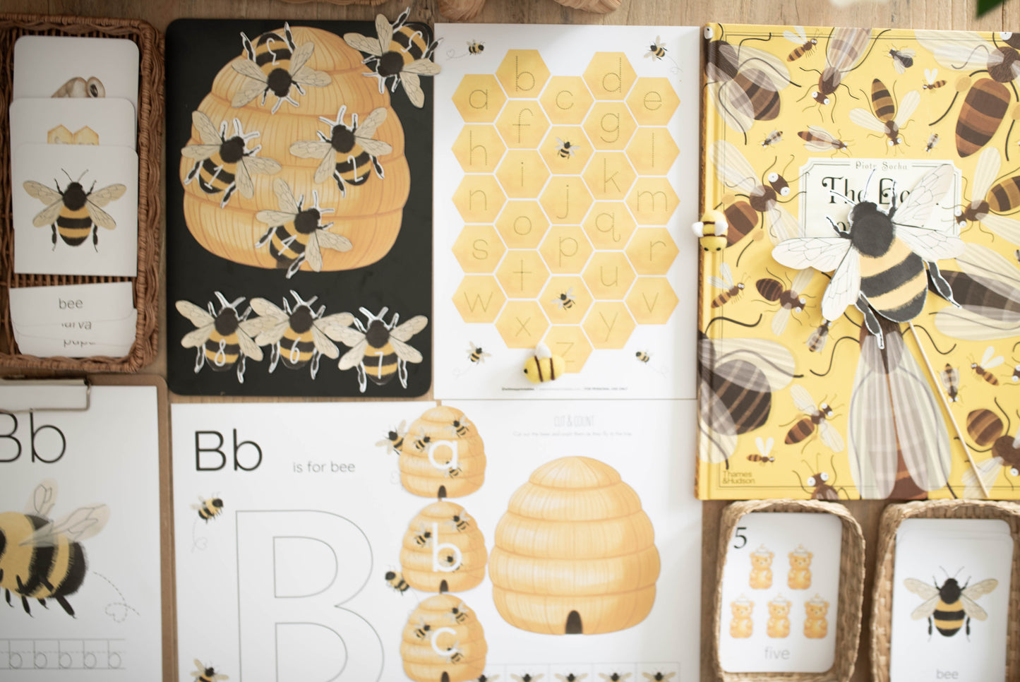 HONEY BEE MINI UNIT STUDY