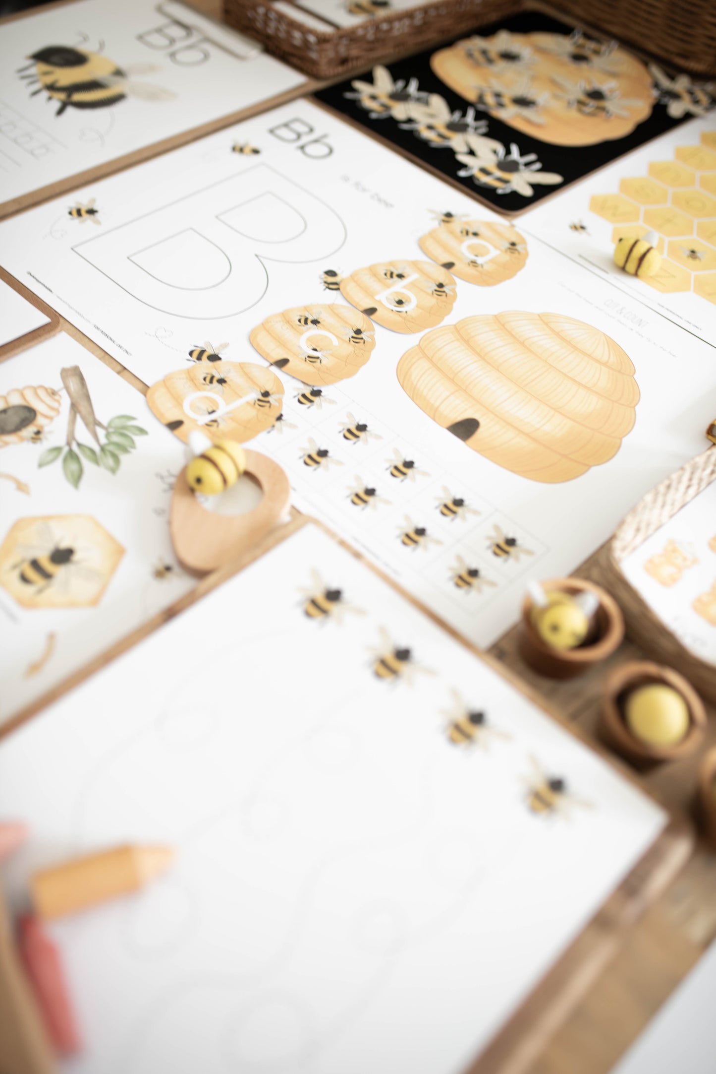 HONEY BEE MINI UNIT STUDY