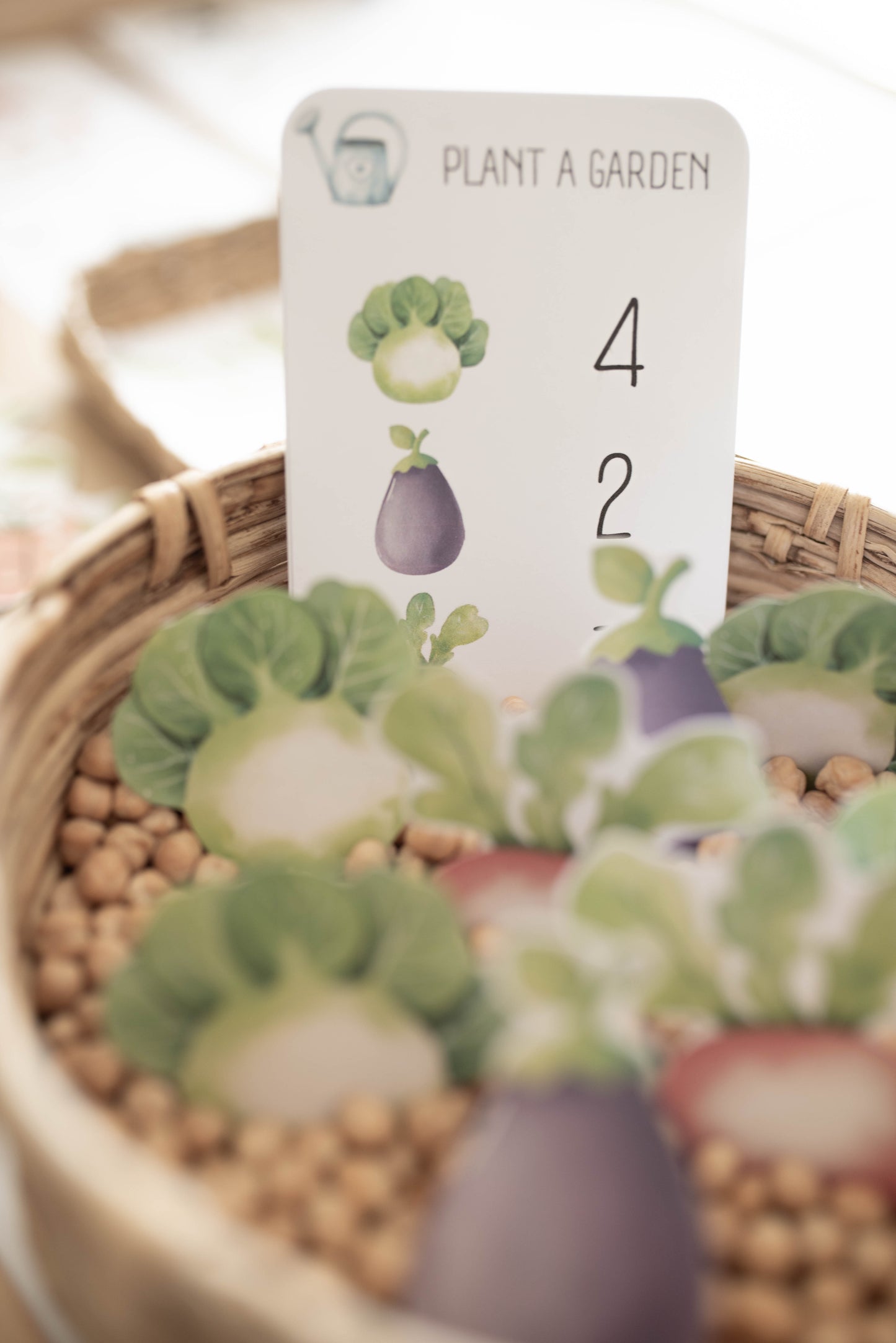 GARDENING MORNING BASKET