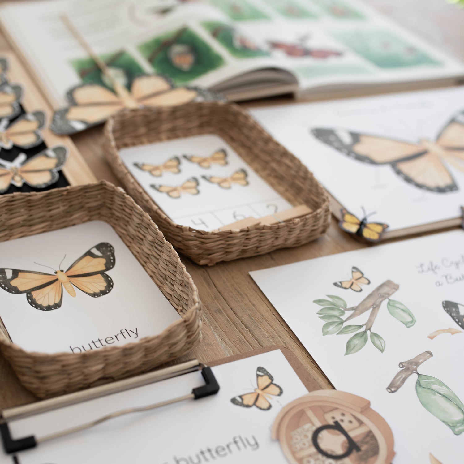 A close-up of butterfly-themed educational materials arranged on a wooden table, including printed butterfly cards, lettering activities, woven baskets holding cards, and an open book in the background.