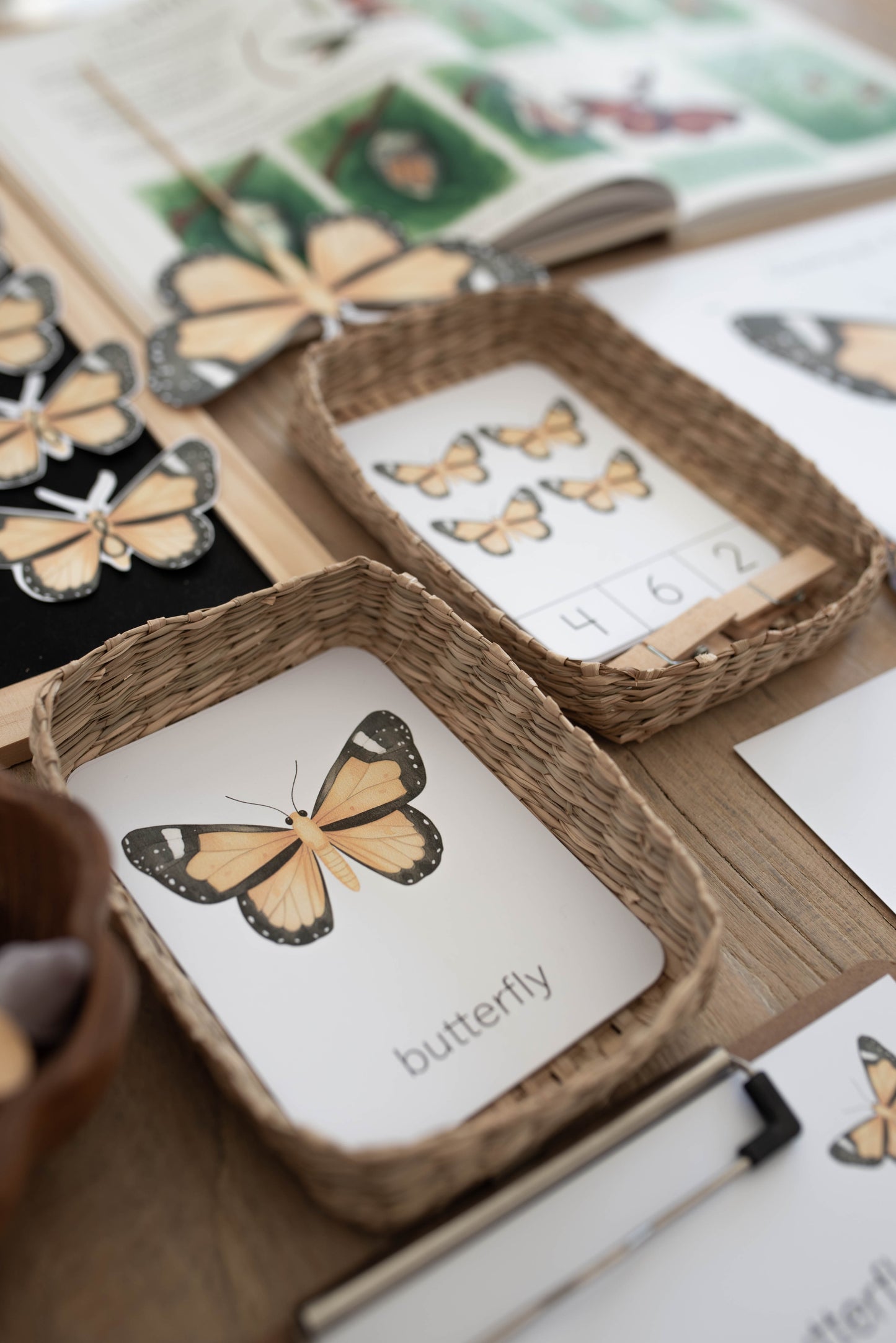 BUTTERFLY MINI UNIT STUDY