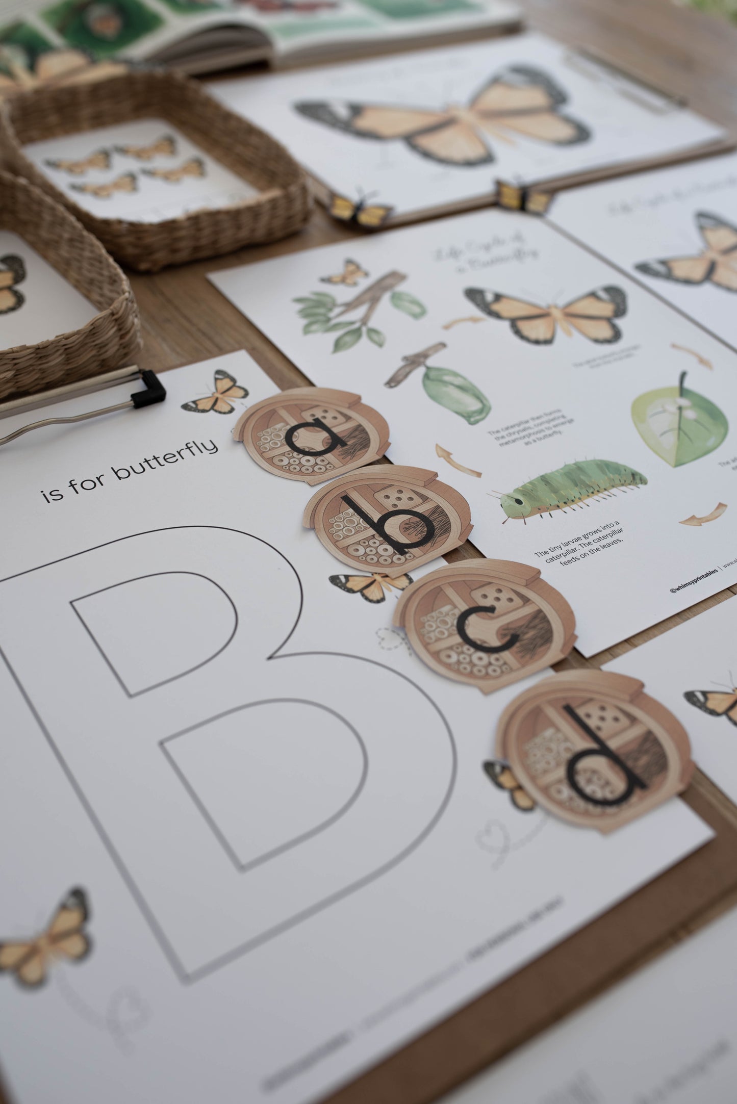 BUTTERFLY MINI UNIT STUDY