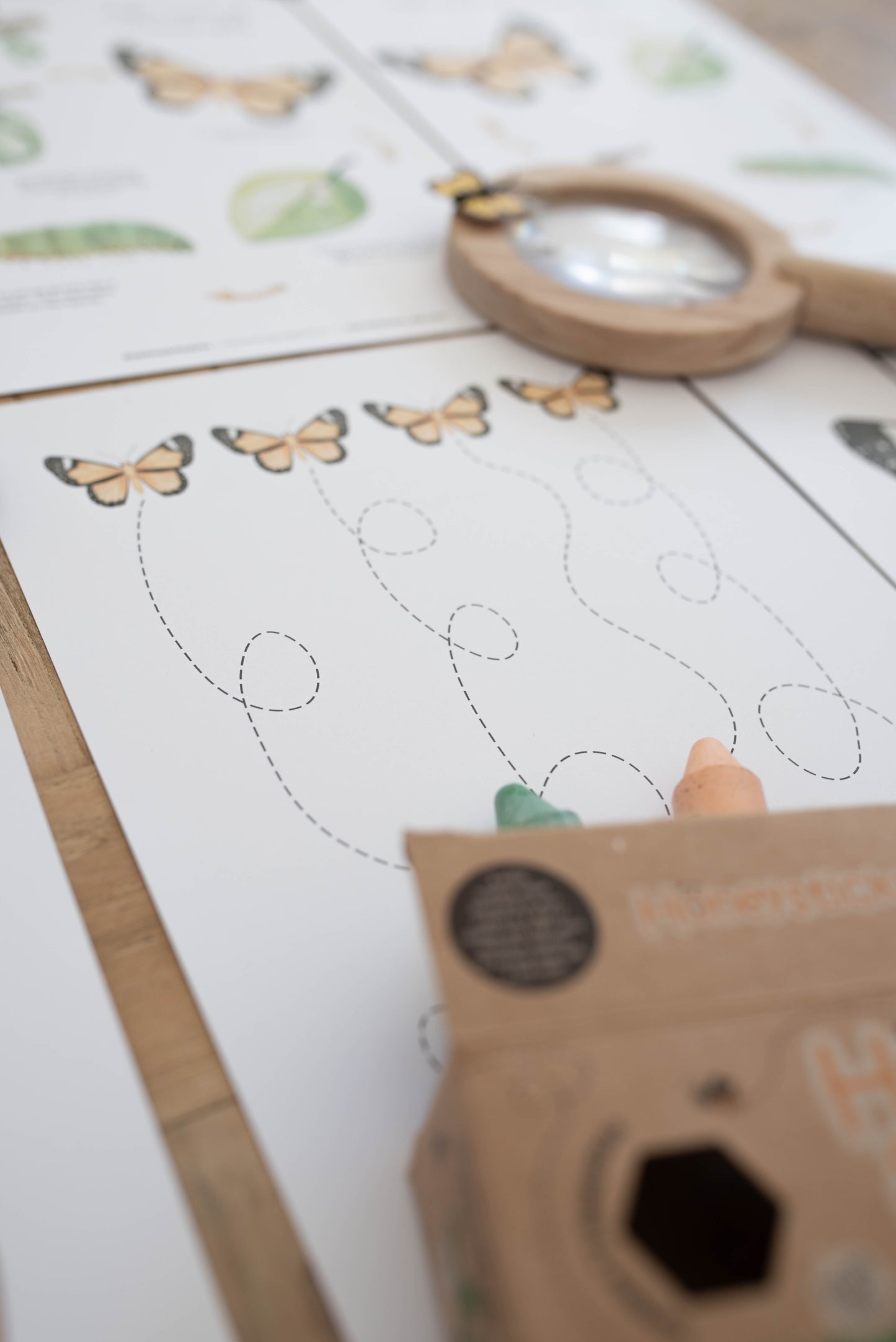 BUTTERFLY MINI UNIT STUDY