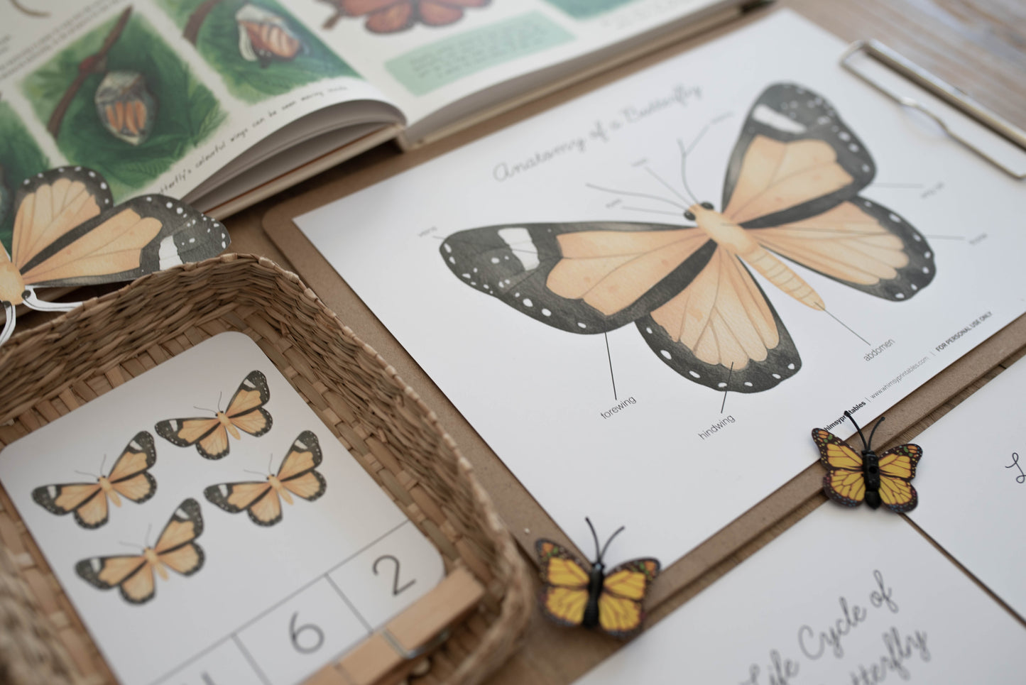 BUTTERFLY MINI UNIT STUDY