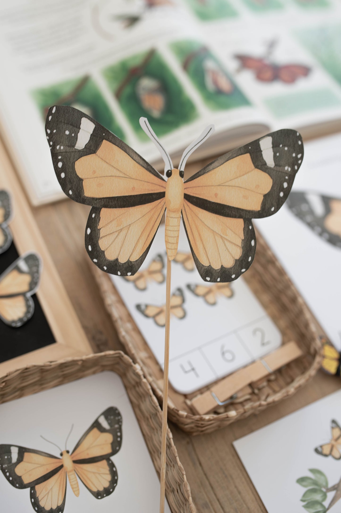 BUTTERFLY MINI UNIT STUDY