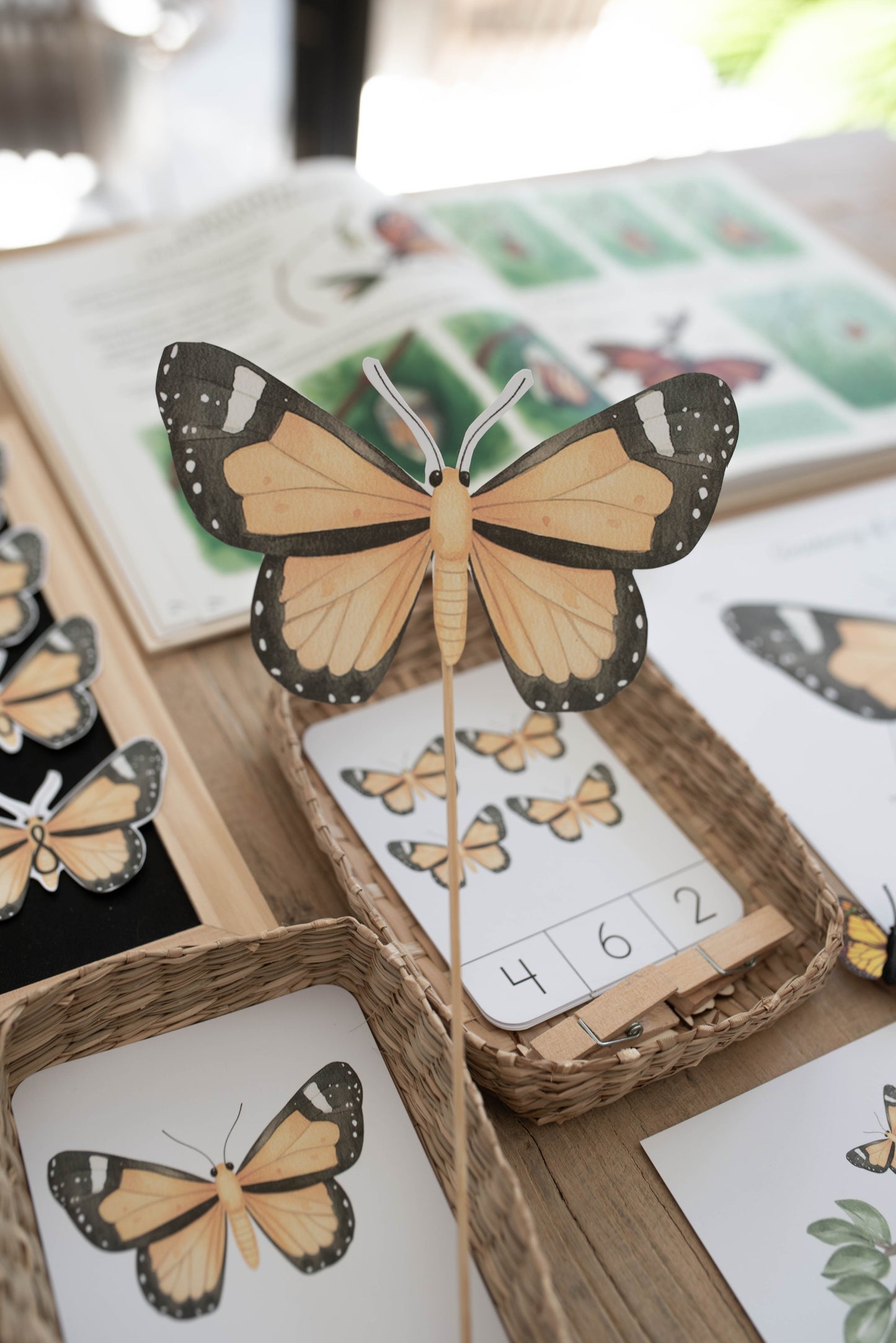 BUTTERFLY MINI UNIT STUDY