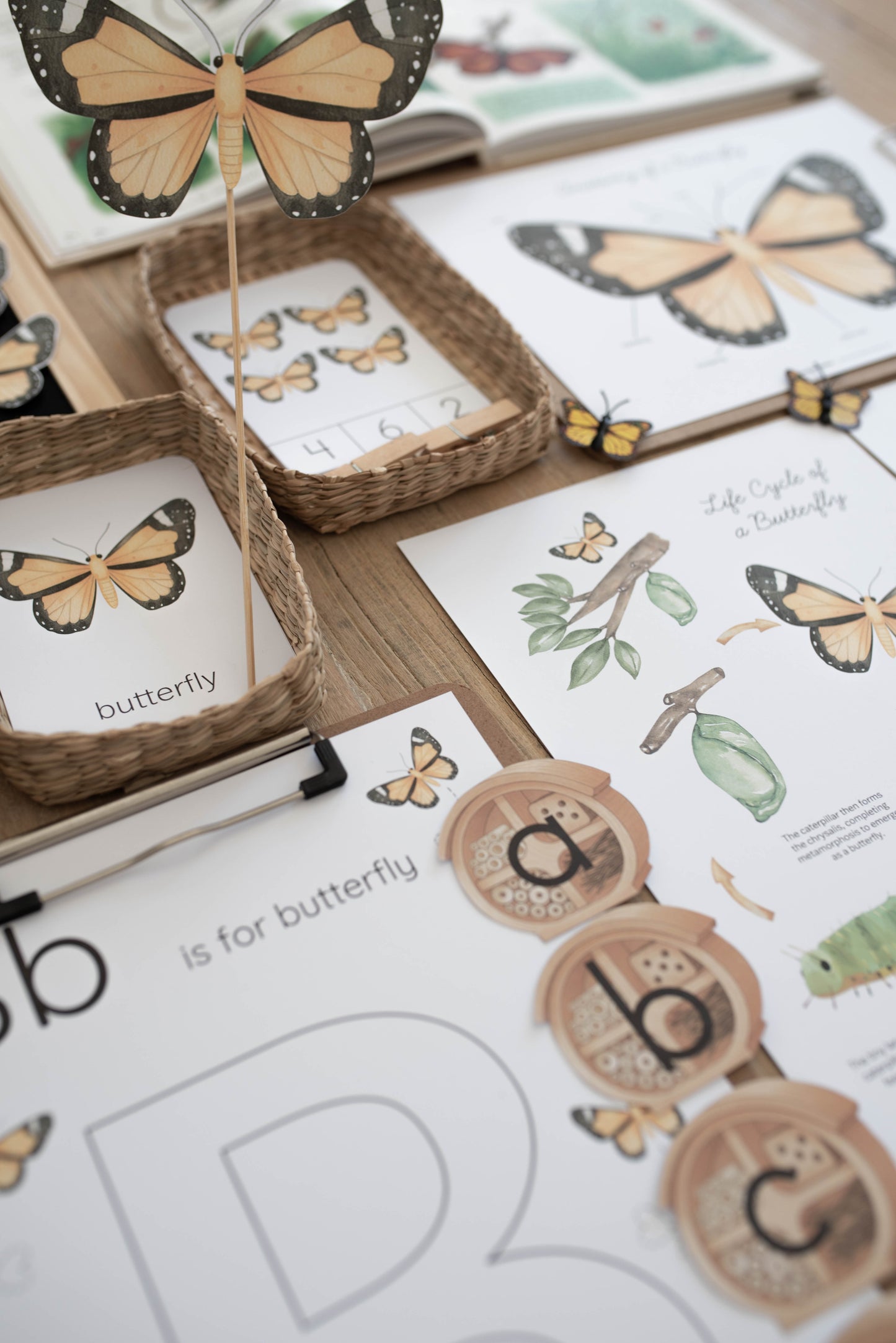 BUTTERFLY MINI UNIT STUDY