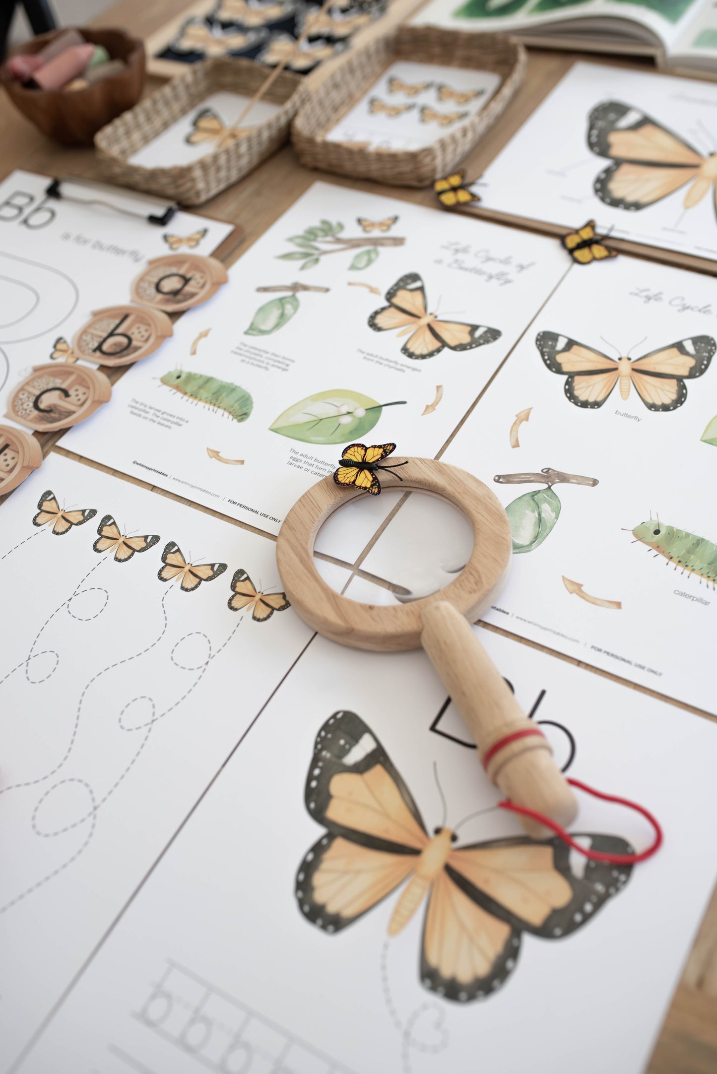 BUTTERFLY MINI UNIT STUDY