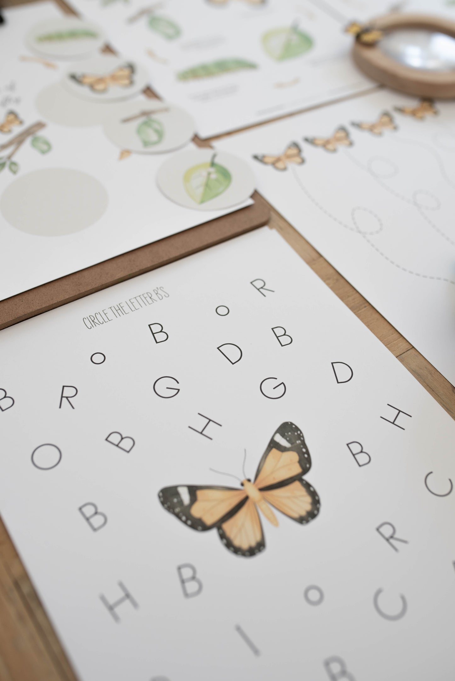 BUTTERFLY MINI UNIT STUDY