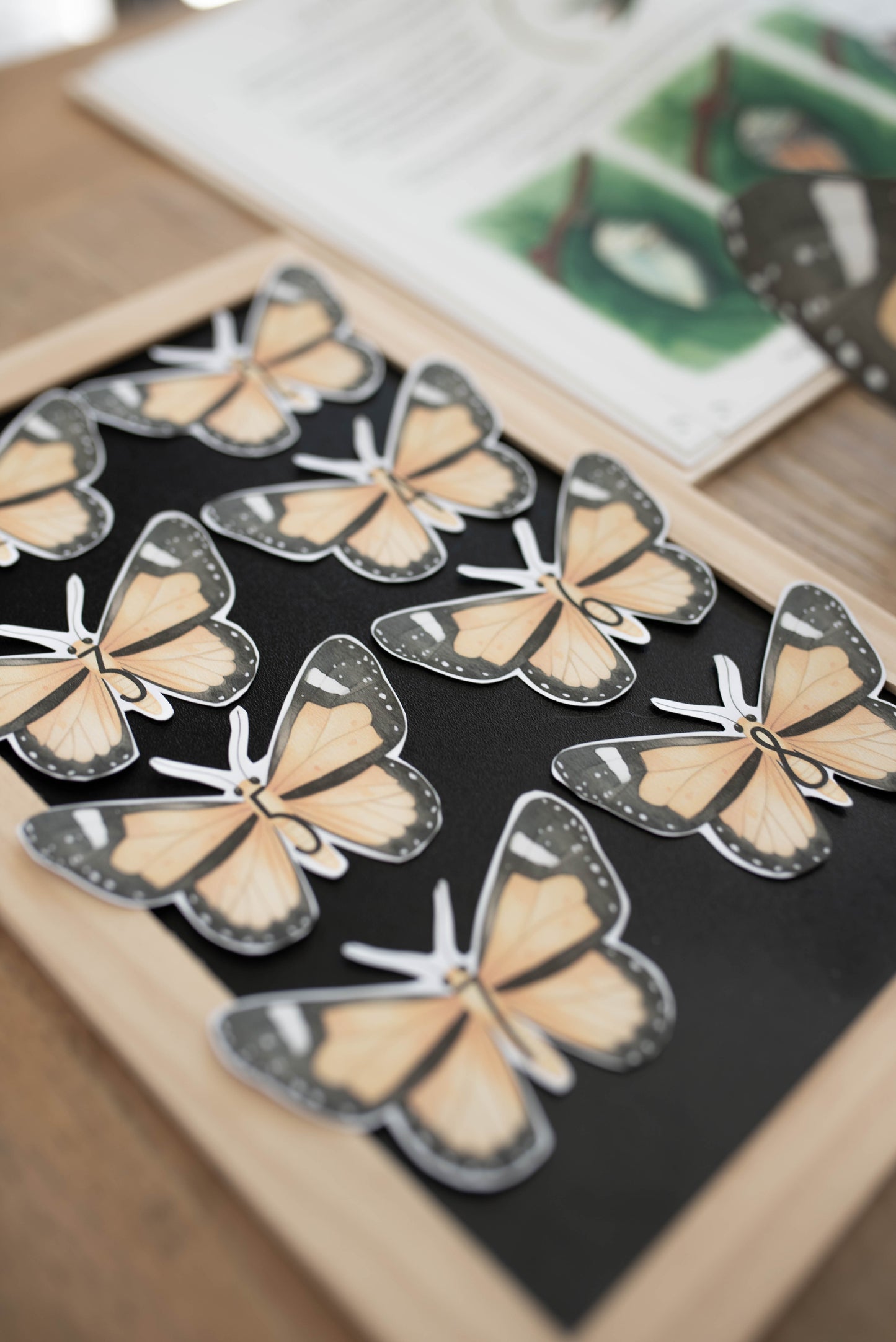 BUTTERFLY MINI UNIT STUDY