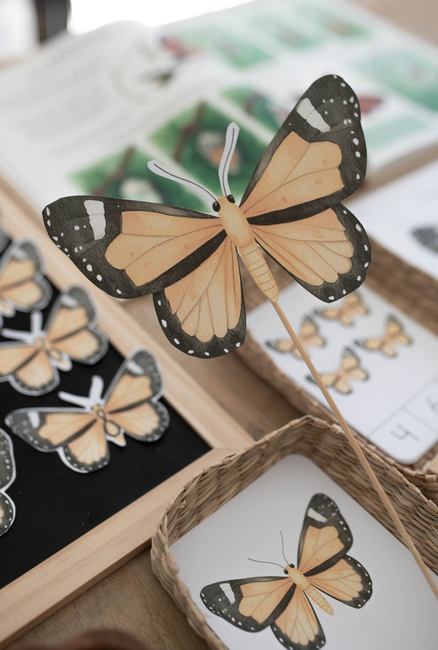 BUTTERFLY MINI UNIT STUDY