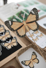 Load image into Gallery viewer, BUTTERFLY MINI UNIT STUDY
